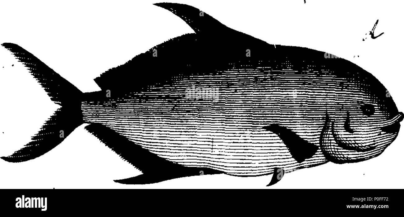 . Anglais : fleuron de livre : un voyage à New-Holland, &c. au cours de l'année 1699. Où sont décrits, le Canary-Islands, les îles de Mayo et de Saint Jago. La baie d'All-Saints, ... Illustré avec plusieurs cartes et les brouillons : également divers oiseaux, poissons et plantes, pas trouvé dans cette partie du monde, curieusement ingraven sur plaques de cuivre. Tome III. Par le Capitaine William Dampier. 251 Un voyage à New-Holland, etc Fleuron T034014-9 Banque D'Images