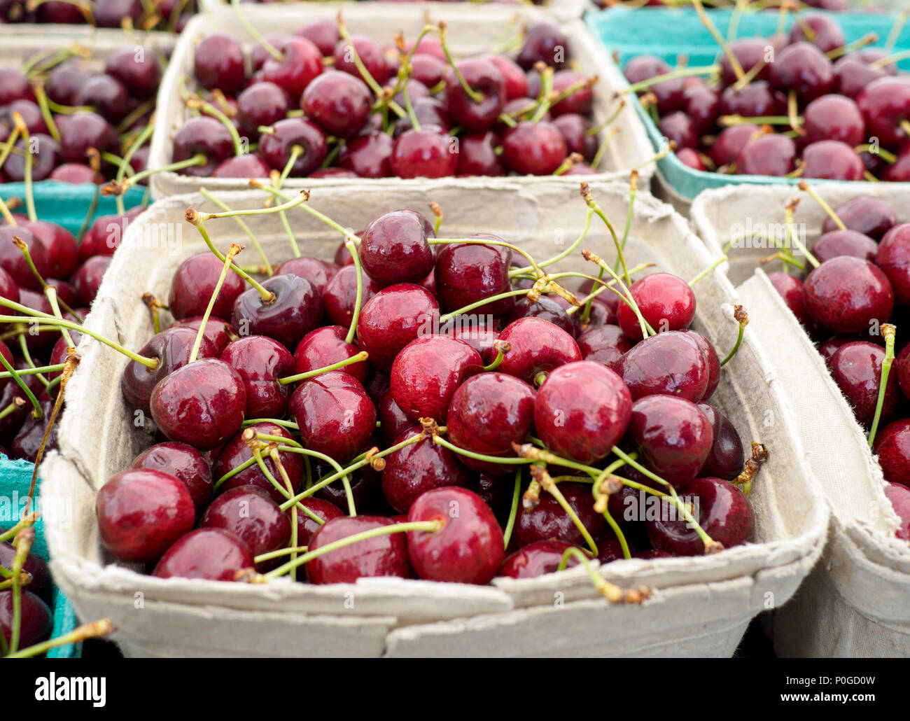 Panier de cerises rouge foncé Lepin à vendre sur le marché local Banque D'Images