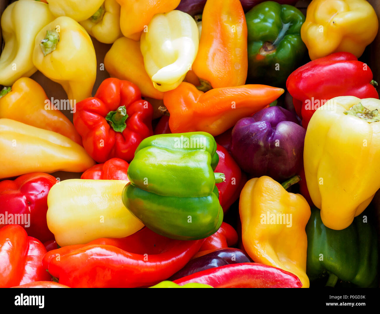 Assortiment de Poivrons colorés Banque D'Images