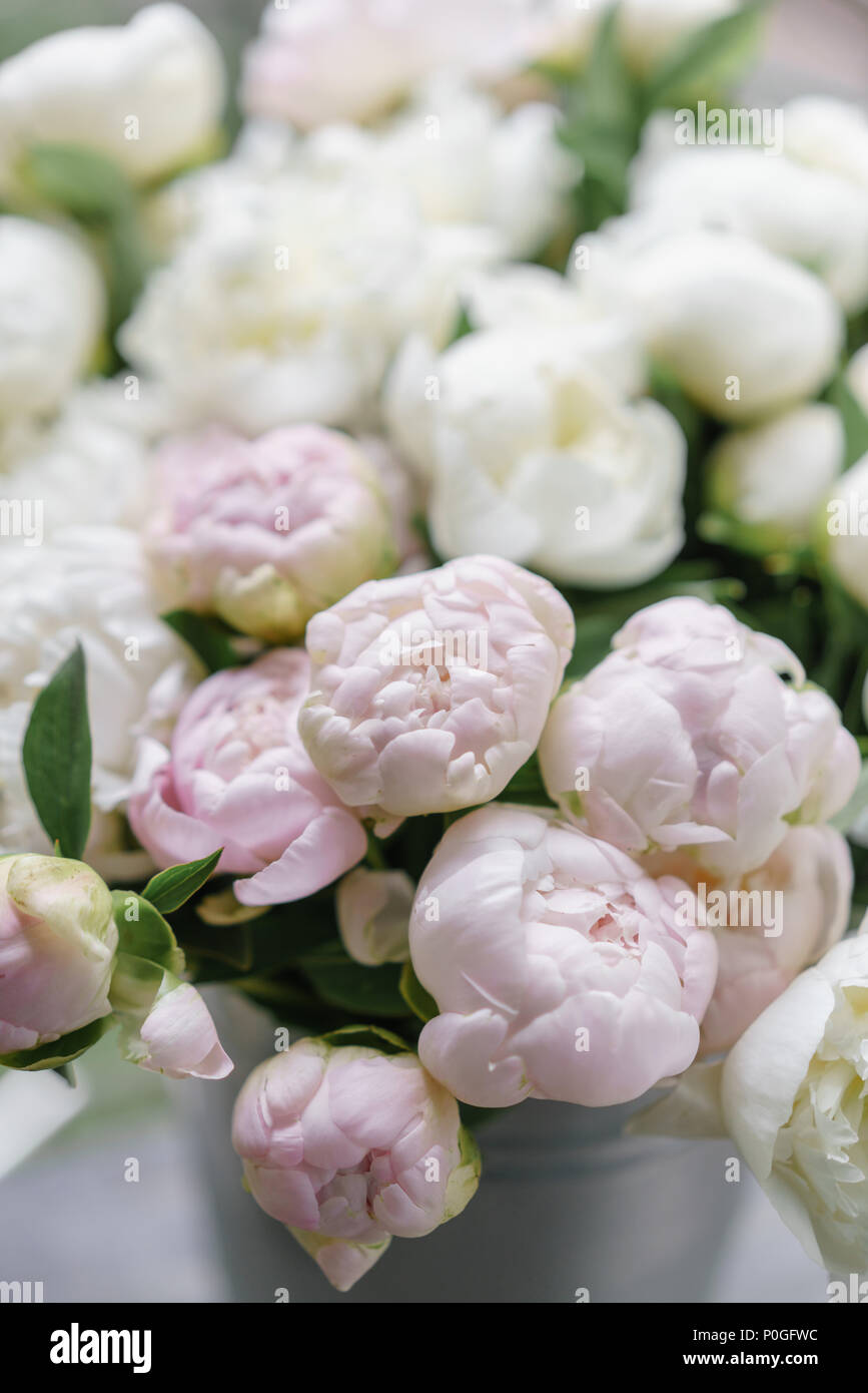 Magnifique Bouquet De Pivoines Blanches Et Roses Composition Florale Lumiere Du Jour Fond D Ecran Photo Verticale Photo Stock Alamy Magnifique Bouquet De Pivoines Blanches Et Roses Composition Florale Lumiere Du Jour Fond D Ecran Photo Verticale Photo Stock Alamy