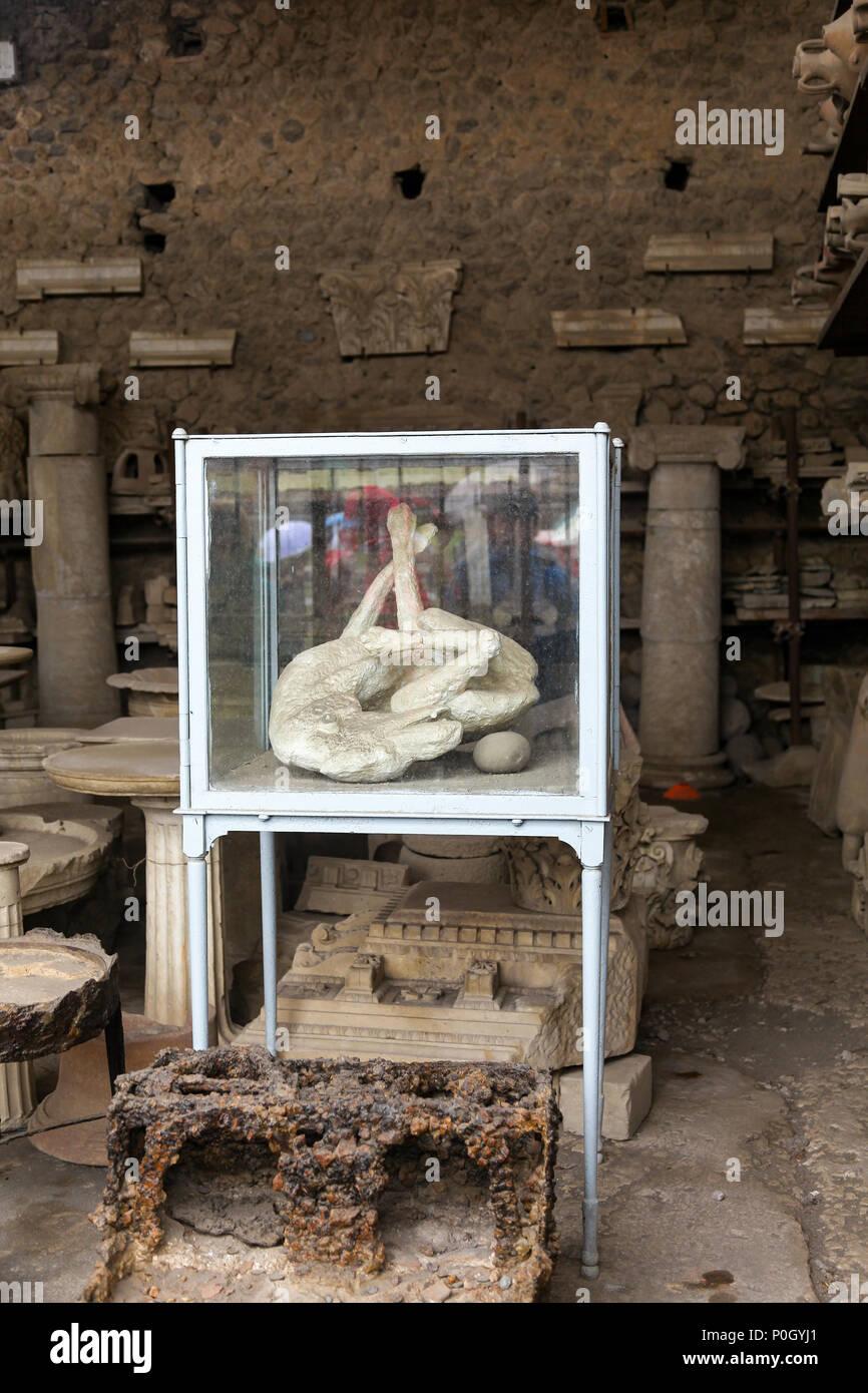 Le corps d'un chien préservé comme un plâtre à partir de l'éruption du Vésuve en 79 à la publicité du site archéologique de Pompéi, Pompéi, Campanie, Italie, Banque D'Images