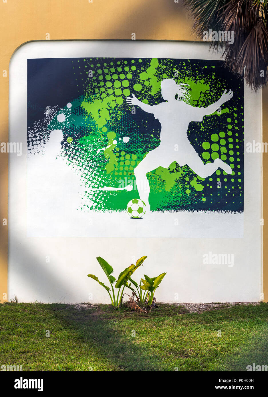 Graphique de peinture décorative joueur de football ; parc public ; le centre-sud de la Floride, USA Banque D'Images