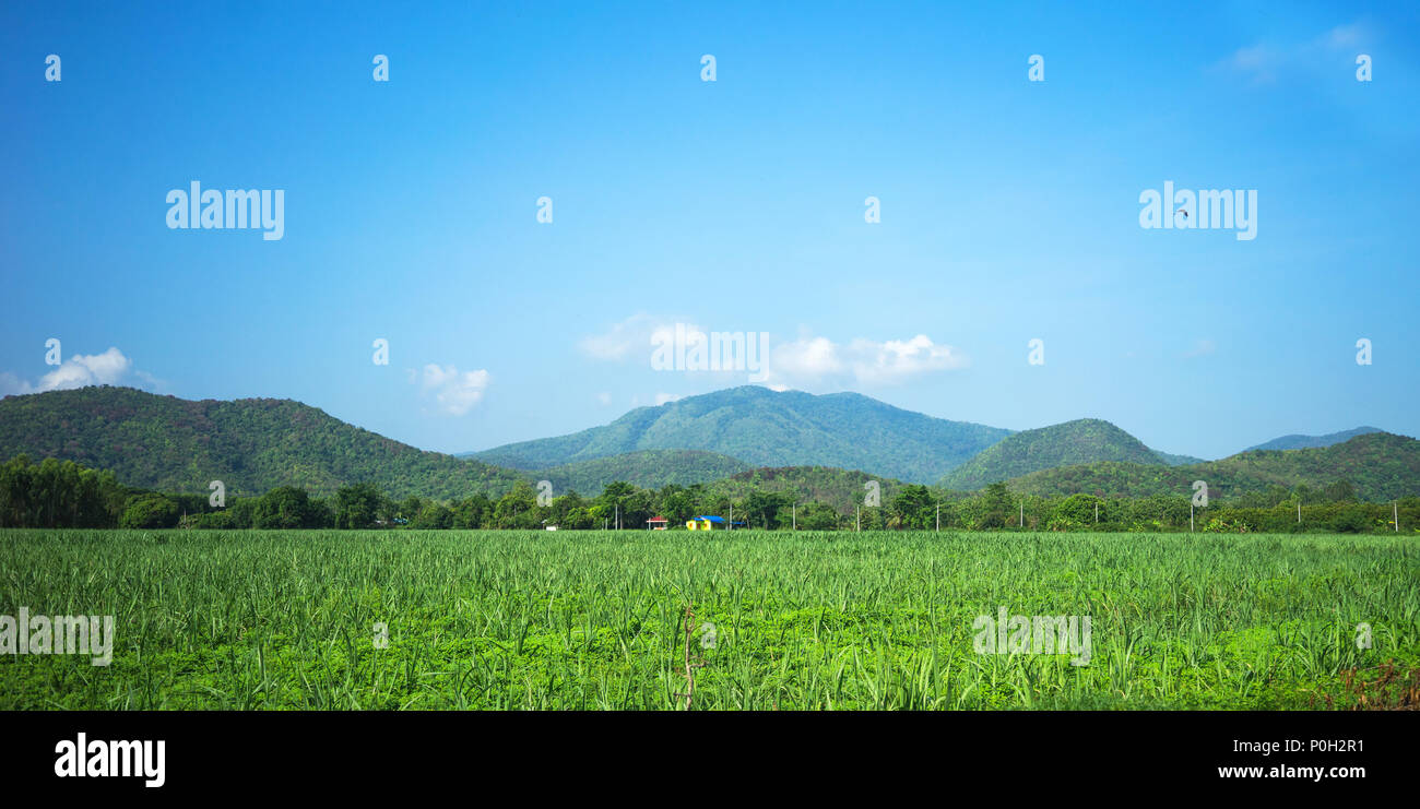 Vue paysage de Midland, Sukhothai, Thaïlande Banque D'Images