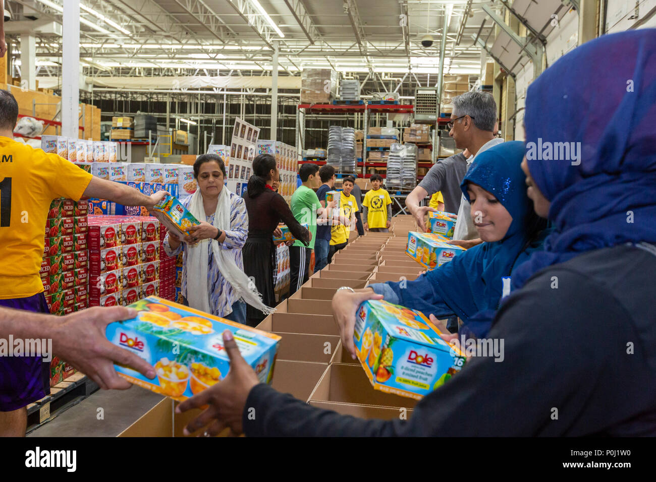 Novi, Michigan USA - 9 juin 2018 - Les bénévoles musulmans boîtes alimentaires forfait pour les plus démunis de la région de Detroit durant le mois de Ramadan. Les musulmans sont susceptibles de contribuer à des activités de bienfaisance au cours du mois. Crédit : Jim West/Alamy Live News Banque D'Images