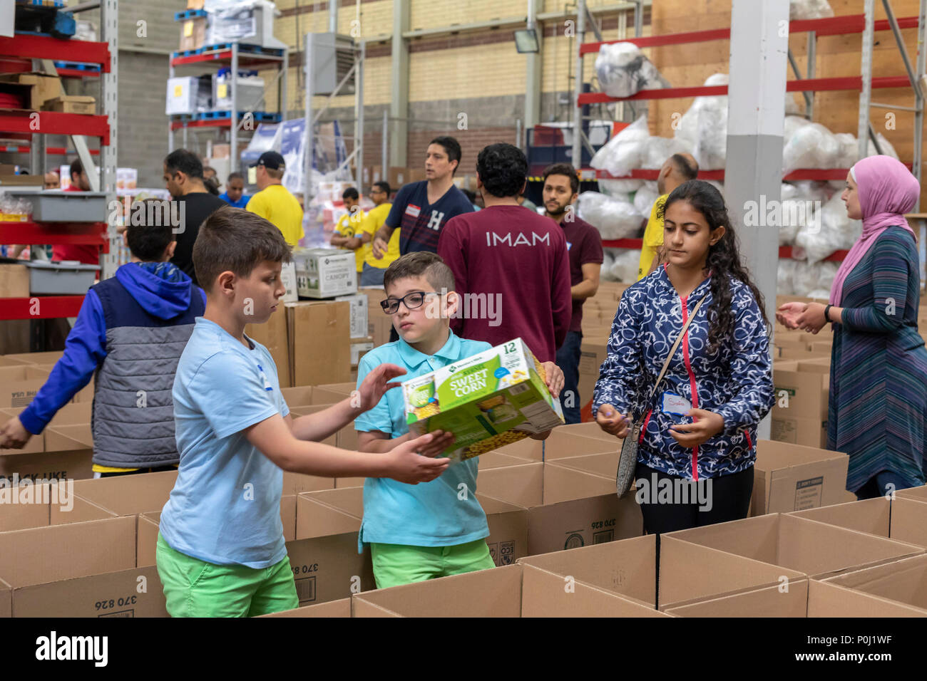 Novi, Michigan USA - 9 juin 2018 - Les bénévoles musulmans boîtes alimentaires forfait pour les plus démunis de la région de Detroit durant le mois de Ramadan. Les musulmans sont susceptibles de contribuer à des activités de bienfaisance au cours du mois. Crédit : Jim West/Alamy Live News Banque D'Images