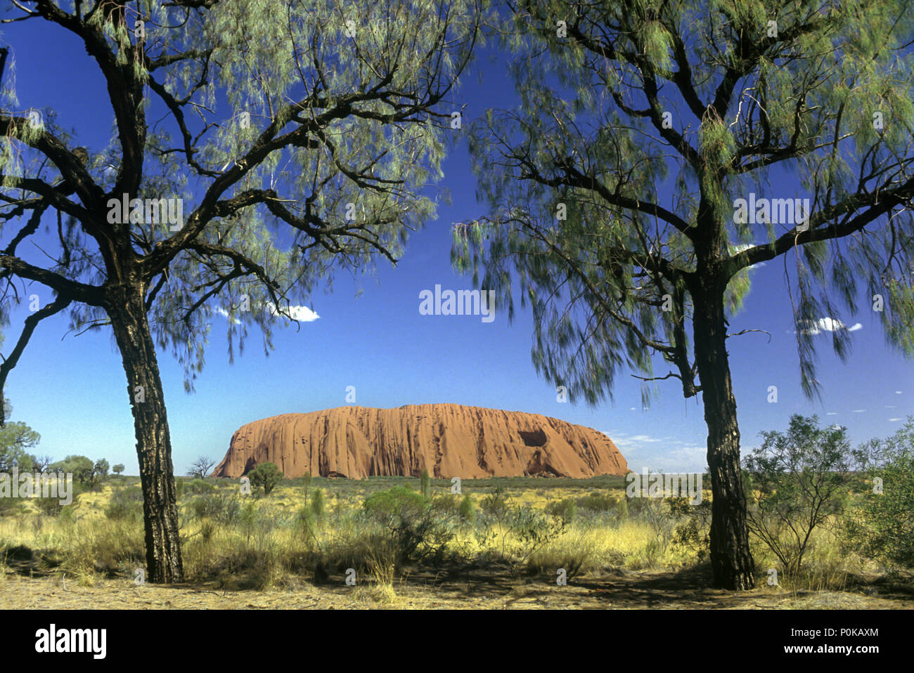 1995 GOMMIERS HISTORIQUE PARC NATIONAL D'Uluru Ayers Rock AUSTRALIE TERRITOIRE DU NORD Banque D'Images