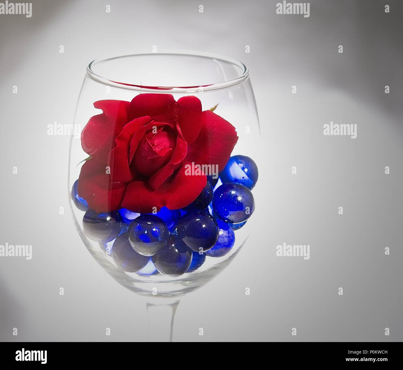 Rose rouge sur un lit de pierres précieuses dans un verre bleu Banque D'Images