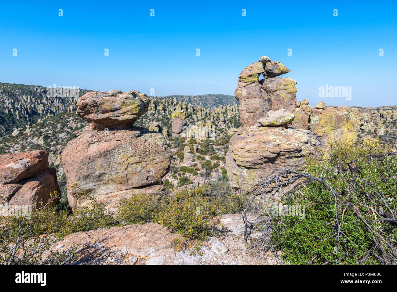 Vue du Massai Point. Monument National Chiricahua, Willcox, Arizona. Banque D'Images