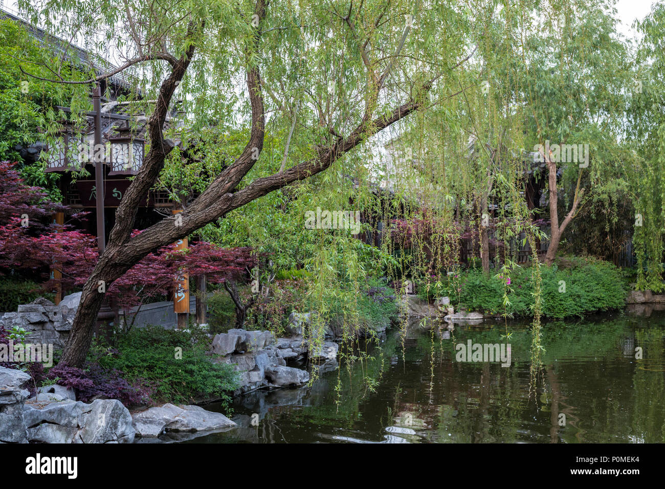 Yangzhou, Jiangsu, Chine. Un jardin chinois traditionnel de la ma famille. Banque D'Images