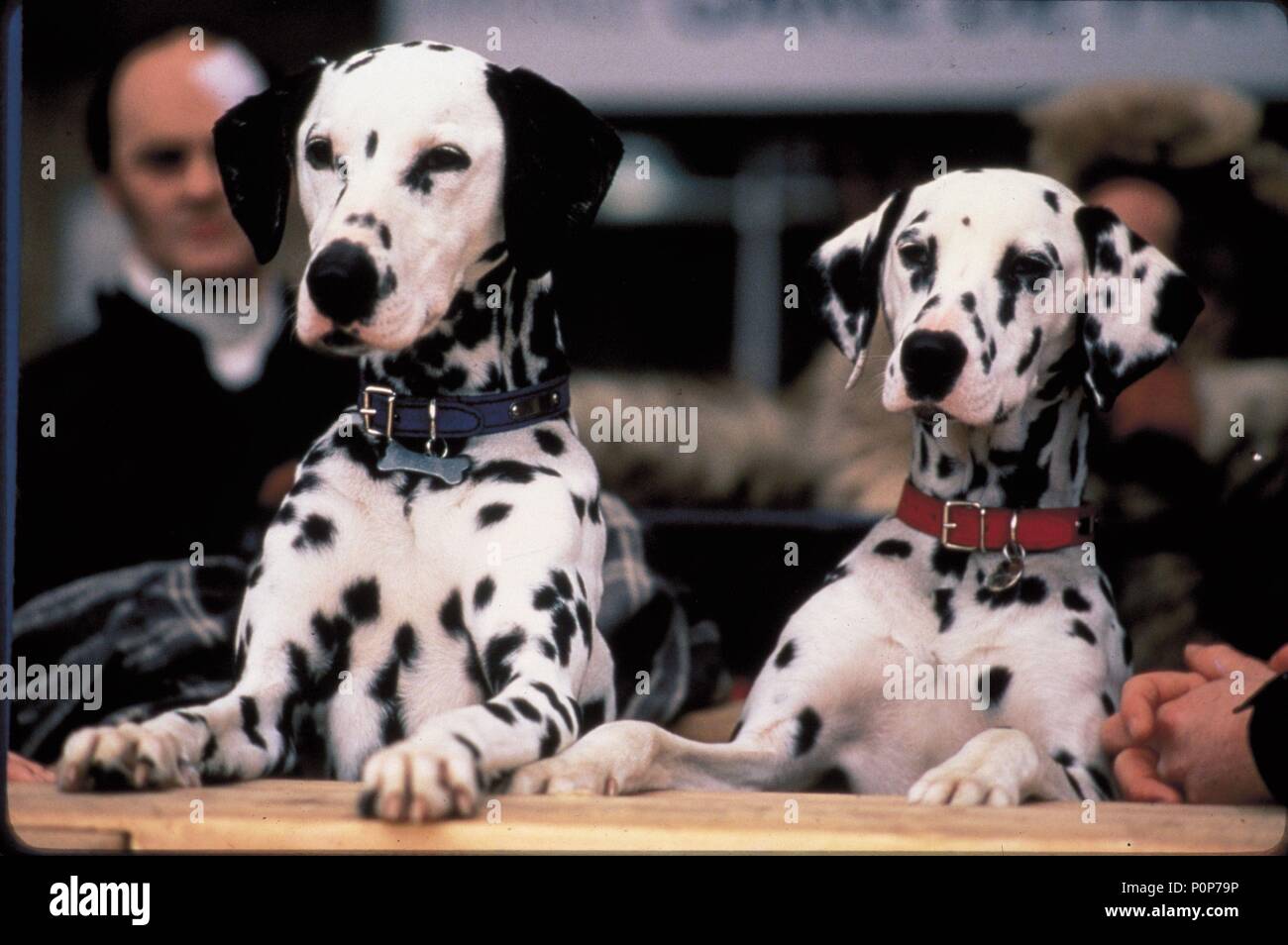 Titre original : 102 Dalmatiens. Titre en anglais : 102 Dalmatiens. Directeur du film : KEVIN LIMA. Année : 2000. Credit : WALT DISNEY PRODUCTIONS / Album Banque D'Images