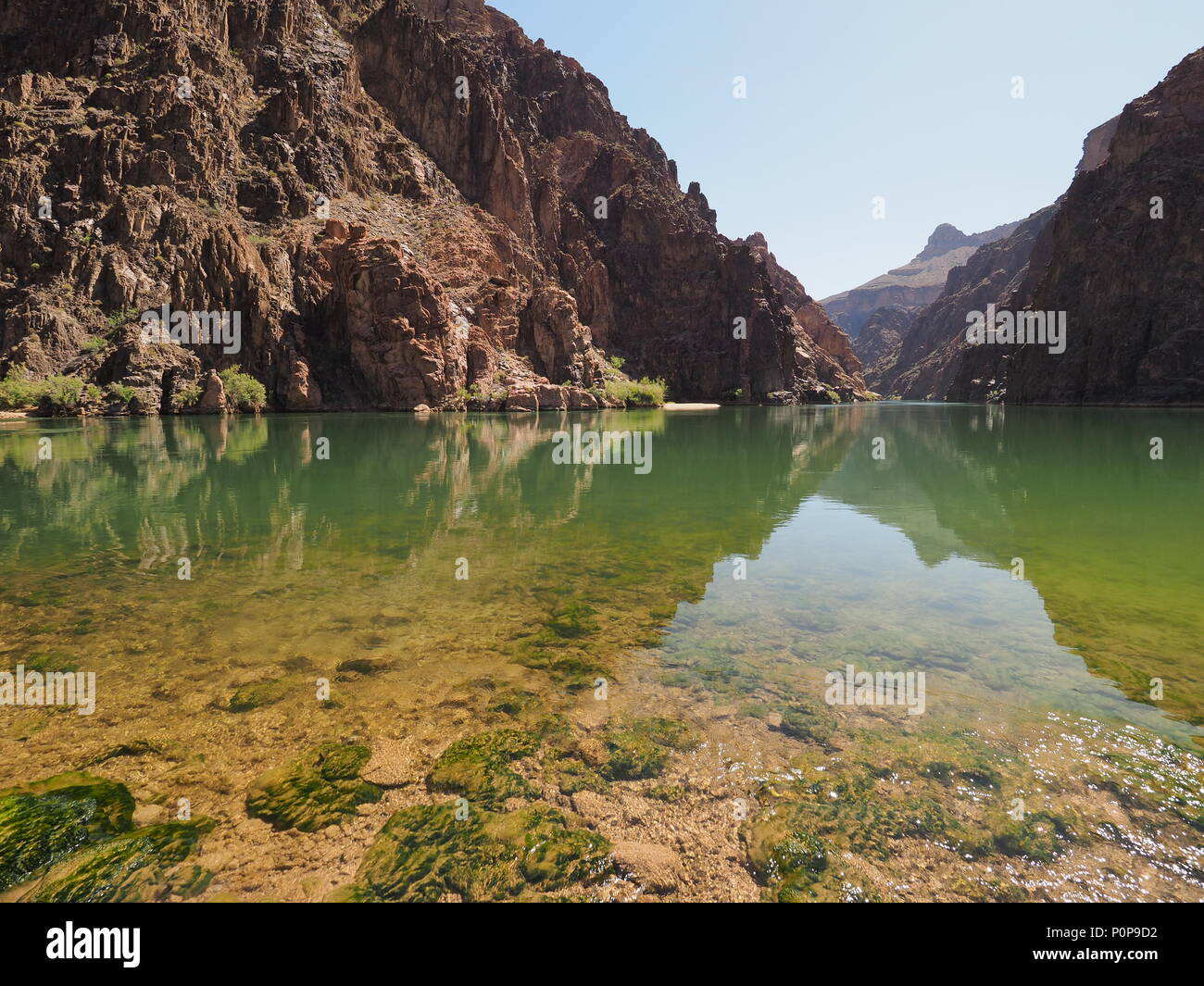 Un placid tronçon de la rivière Colorado, juste au-dessus des rapides de granit dans le Parc National du Grand Canyon, Arizona. Banque D'Images