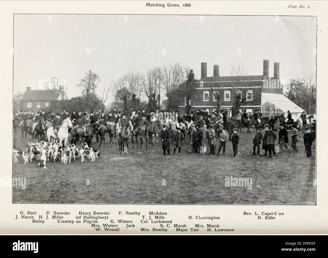 Les feuilles d'un journal de chasse dans l'Essex, p.158 - Vert correspondant 03. Banque D'Images