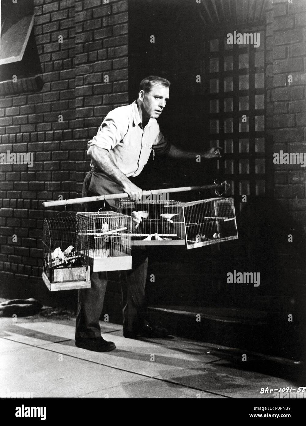 Titre original : Birdman of Alcatraz. Titre en anglais : Birdman of Alcatraz. Film Réalisateur : John Frankenheimer. Année : 1962. Stars : Burt Lancaster. Credit : United Artists / Album Banque D'Images