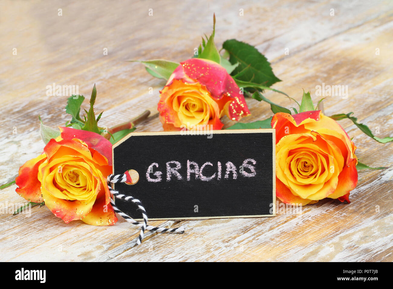 Gracias (merci en espagnol) écrit sur un mini tableau avec trois roses colorés sur la surface en bois Banque D'Images