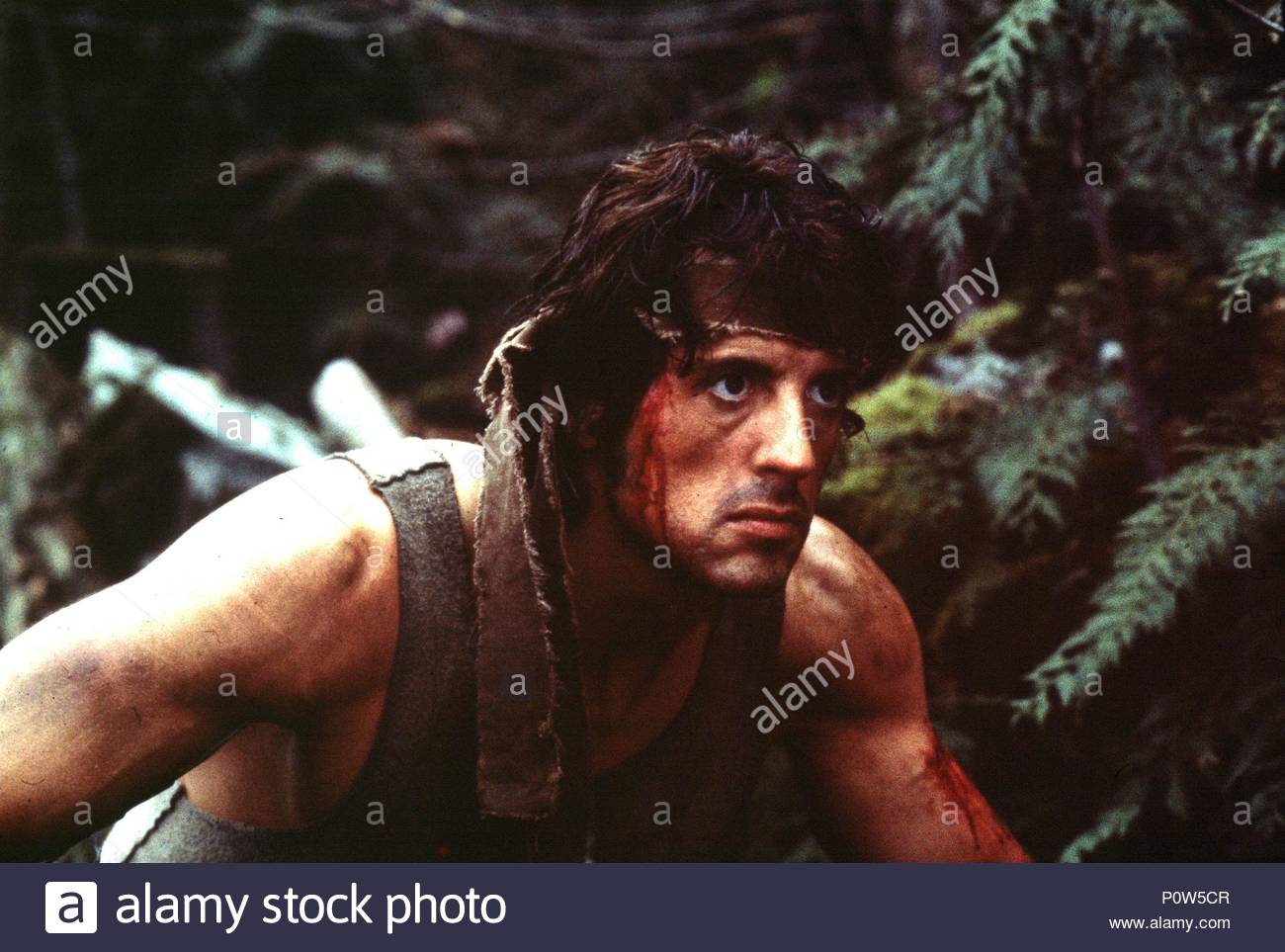 Sylvester Stallone As Rambo Film Title Rambo Photos & Sylvester ...