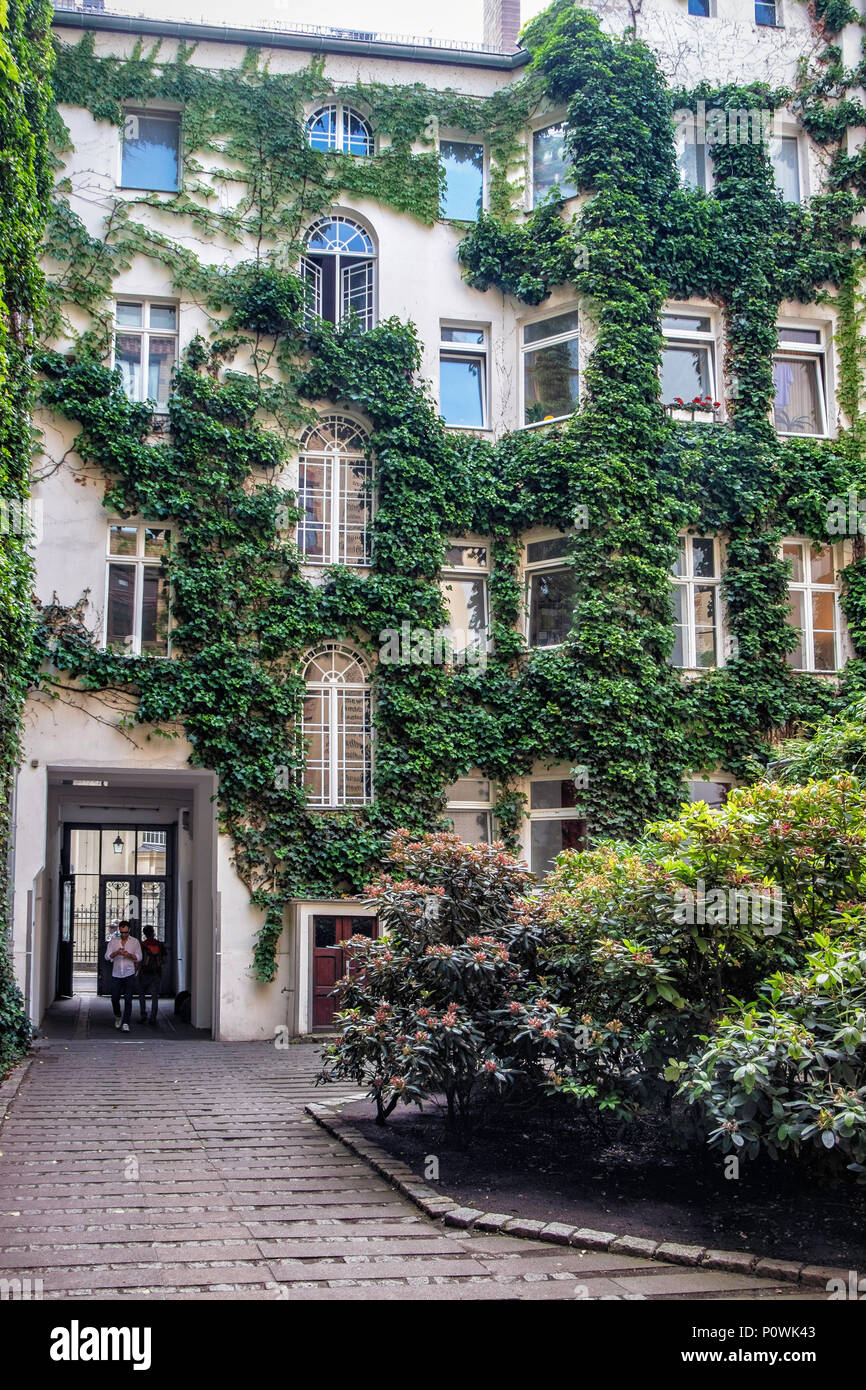 Berlin Mitte, Sophie-Gips-Höfe cour intérieure couverte de lierre et construire des maisons & appartements bureaux. Bâtiment historique dans Sophienstrasse Banque D'Images