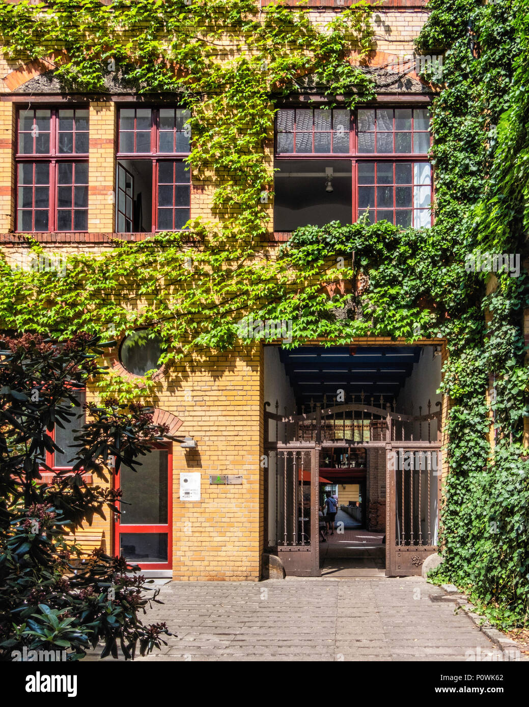 Berlin Mitte, Sophie-Gips-Höfe,cour intérieure, grilles et couverts de lierre bâtiment en brique du xixe siècle de l'ancienne usine. Banque D'Images