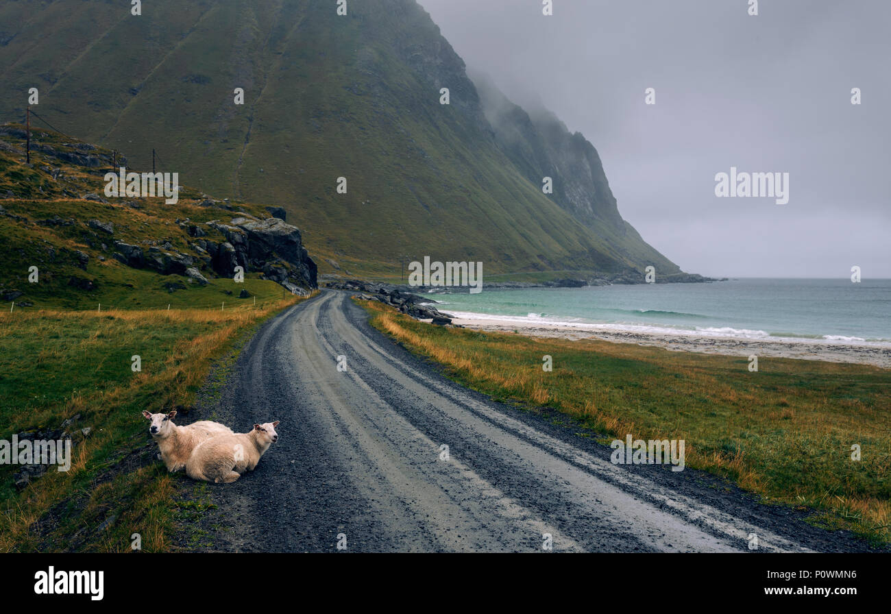 La route panoramique le long de la côte de Norvège sur un jour brumeux et pluvieux Banque D'Images