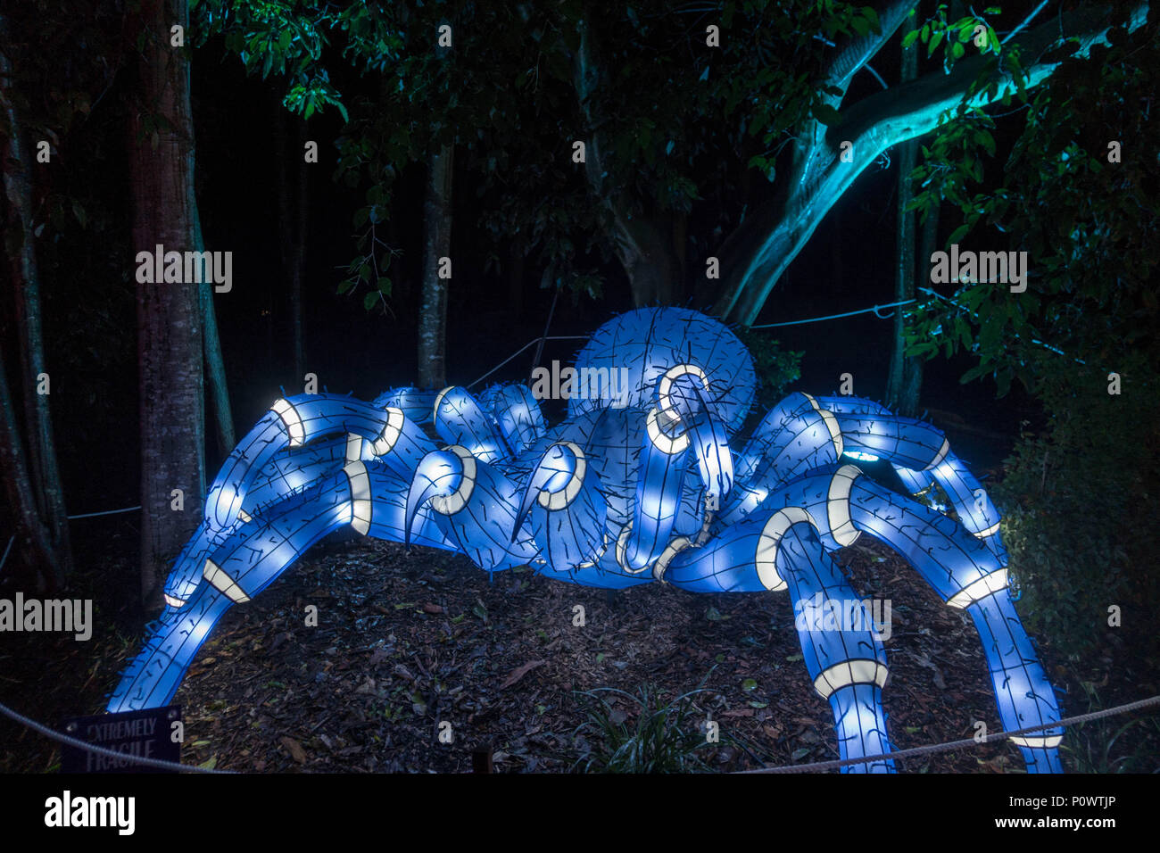 Spider web entonnoir de Kotor pour Vivid Sydney 2018 Banque D'Images