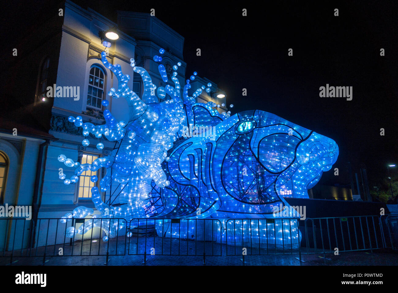 Requin de Port Jackson à l'entrée du Zoo de Taronga à Sydney pour des couleurs vives en 2018 Banque D'Images