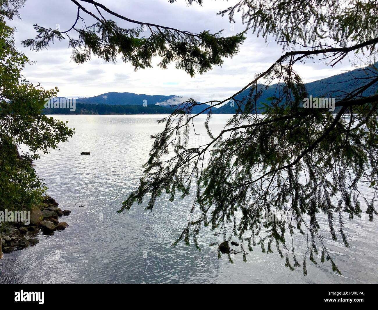 Lake Cushman, Olympic National Park, Washington Banque D'Images
