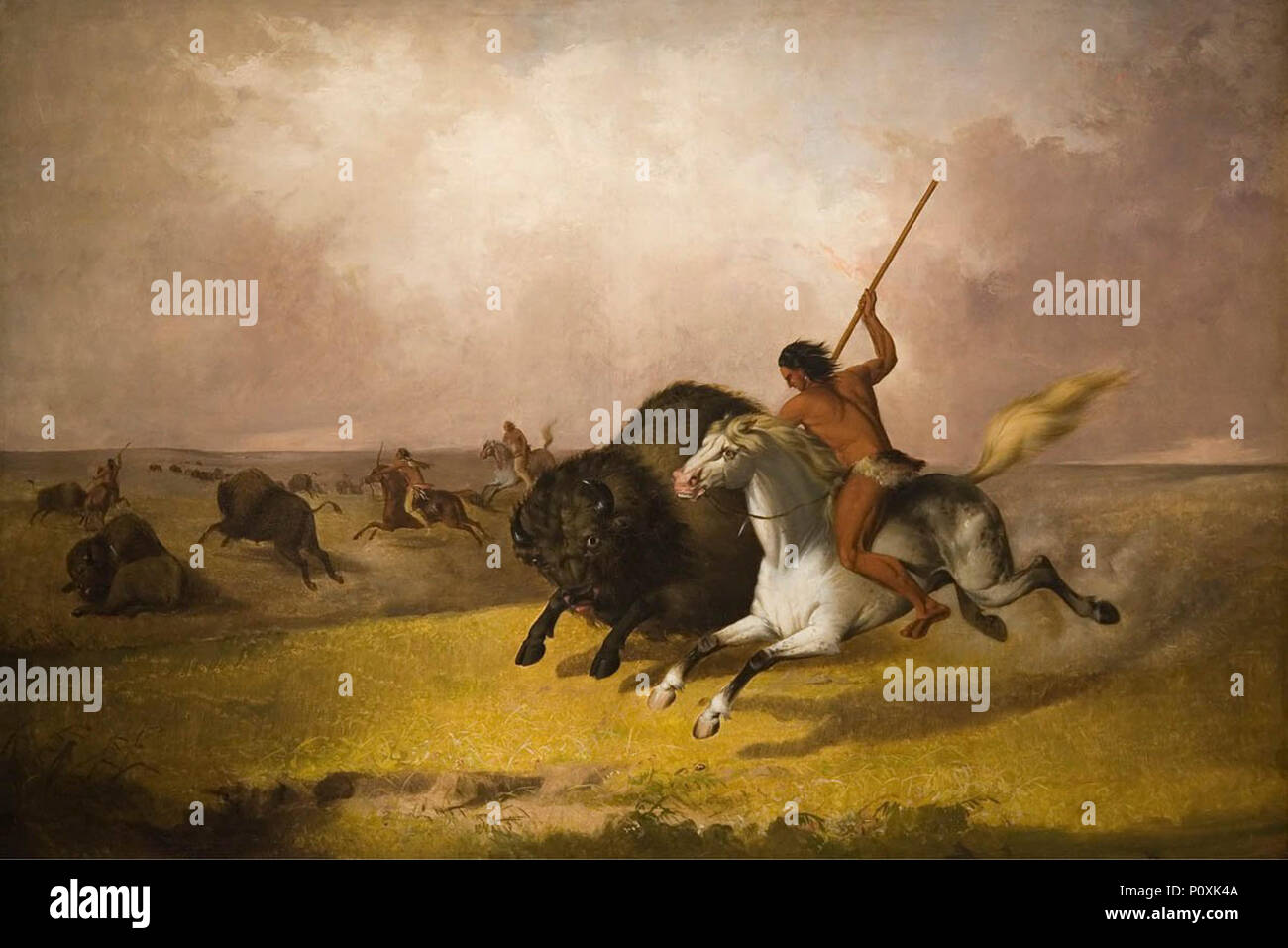 'Chasse au bison sur les prairies du sud-ouest", huile sur toile peinture de John Mix Stanley, 1845, Smithsonian American Art Museum (Washington D. C.) Banque D'Images