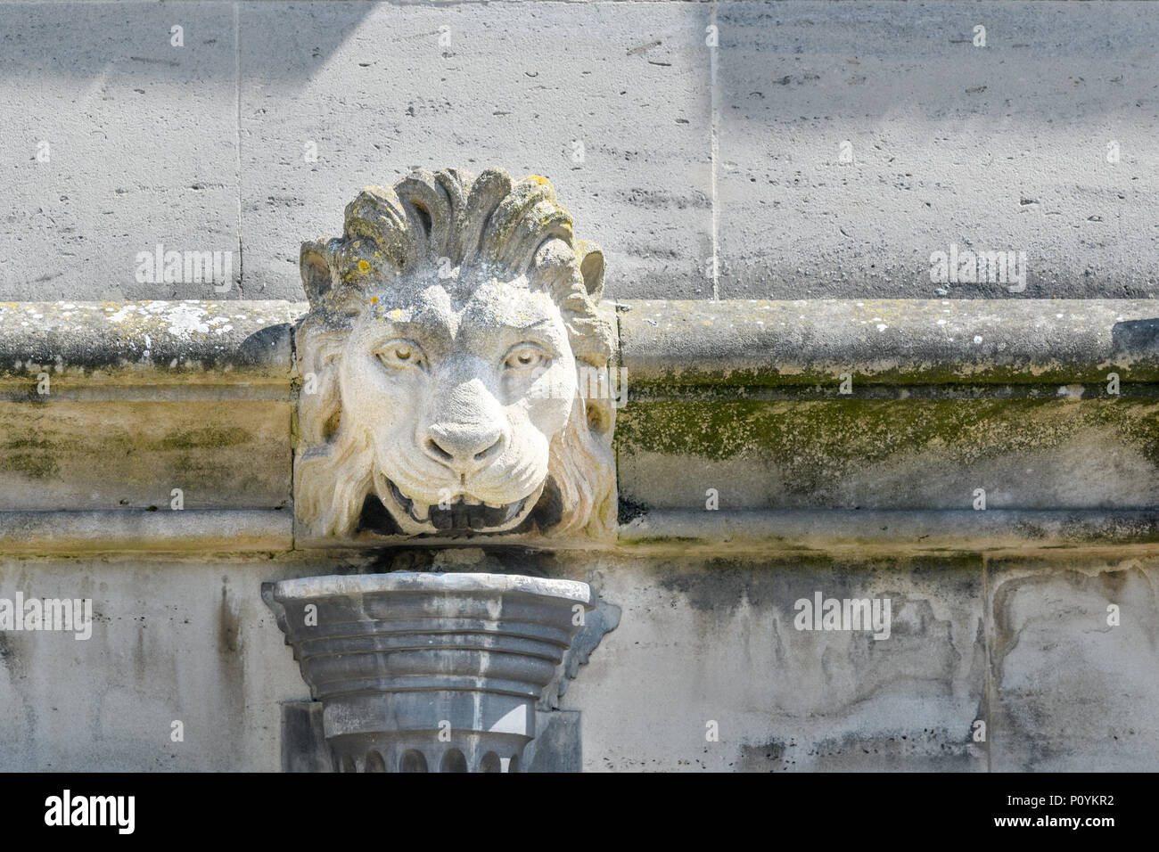 La sculpture sur pierre (d'une tête de lion de la tuyère d'eau sur un tuyau de vidange) sur un mur extérieur de Magdalen College, Université d'Oxford, en Angleterre. Banque D'Images