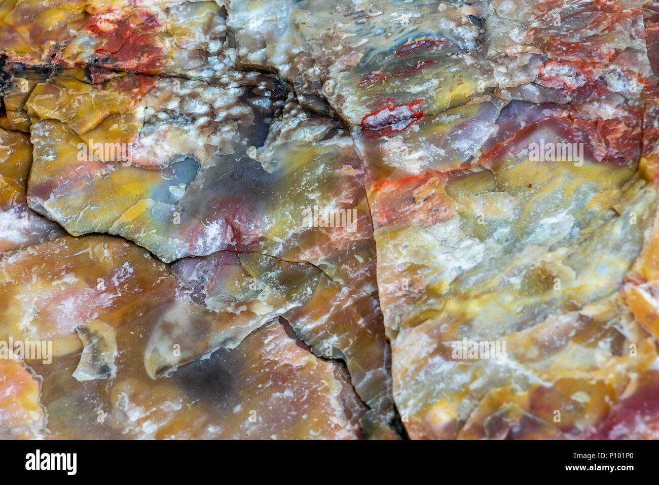 Le bois pétrifié closeup texture, arbre fossilisé, rouge, jaune Banque D'Images