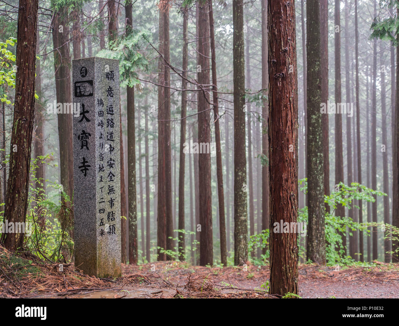 Marqueur de piste dans une forêt de sugi, un jour de pluie, Shikoku pèlerinage temple 88, le Japon, d'Ehime. Aucun pèlerin Henro michi sentier, approchant 44 Daioji, temple Banque D'Images
