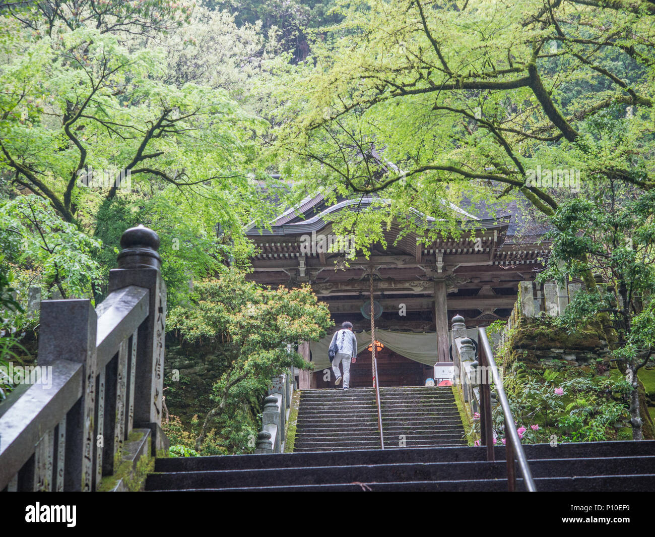 Pèlerin Henro grimpe étapes à Hondo, hall principal du temple 44 Daioji, Shikoku 88 pigrimage temple, Ehime, au Japon. Banque D'Images
