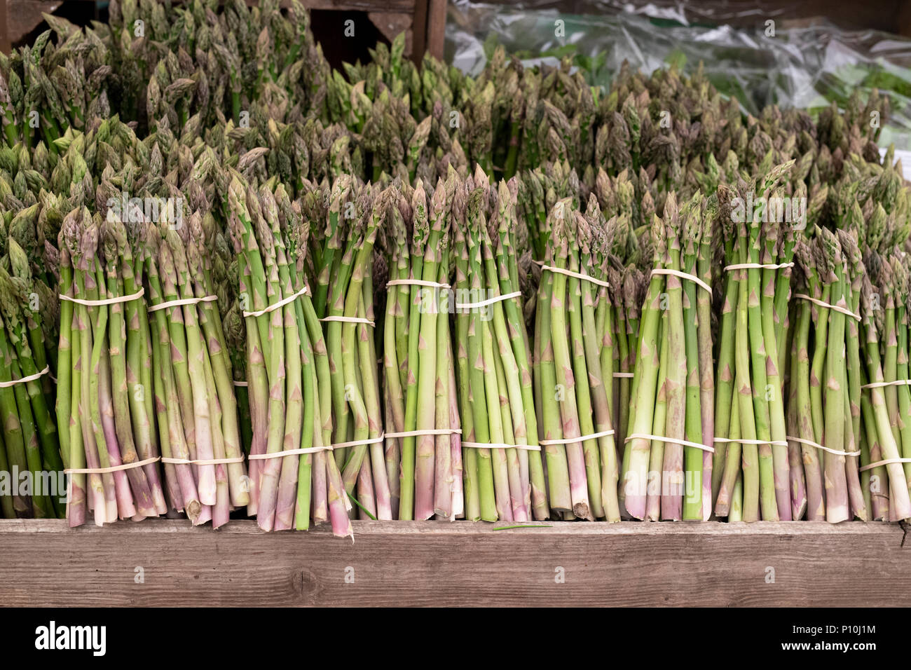 Asparagus officinalis. Les asperges en vente à Daylesford Organic Farm festival d'été. Daylesford, Cotswolds, Gloucestershire, Angleterre Banque D'Images
