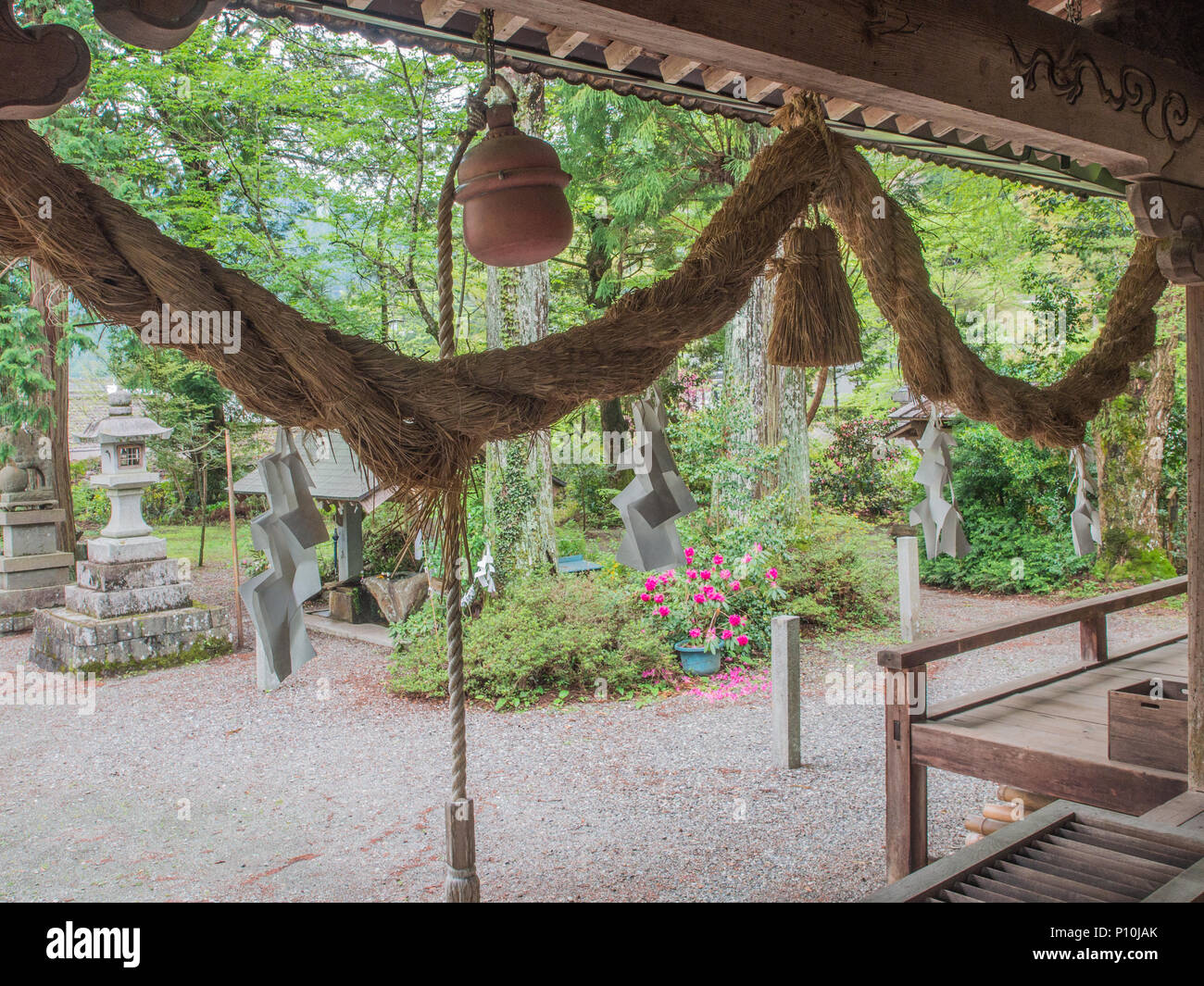 Dans un temple shinto, tirer sur la corde pour sonner la cloche, mélanger une pièce dans la boîte de l'offertoire, prier au sanctuaire kami, sous la corde sacrée shimenawa et Banque D'Images