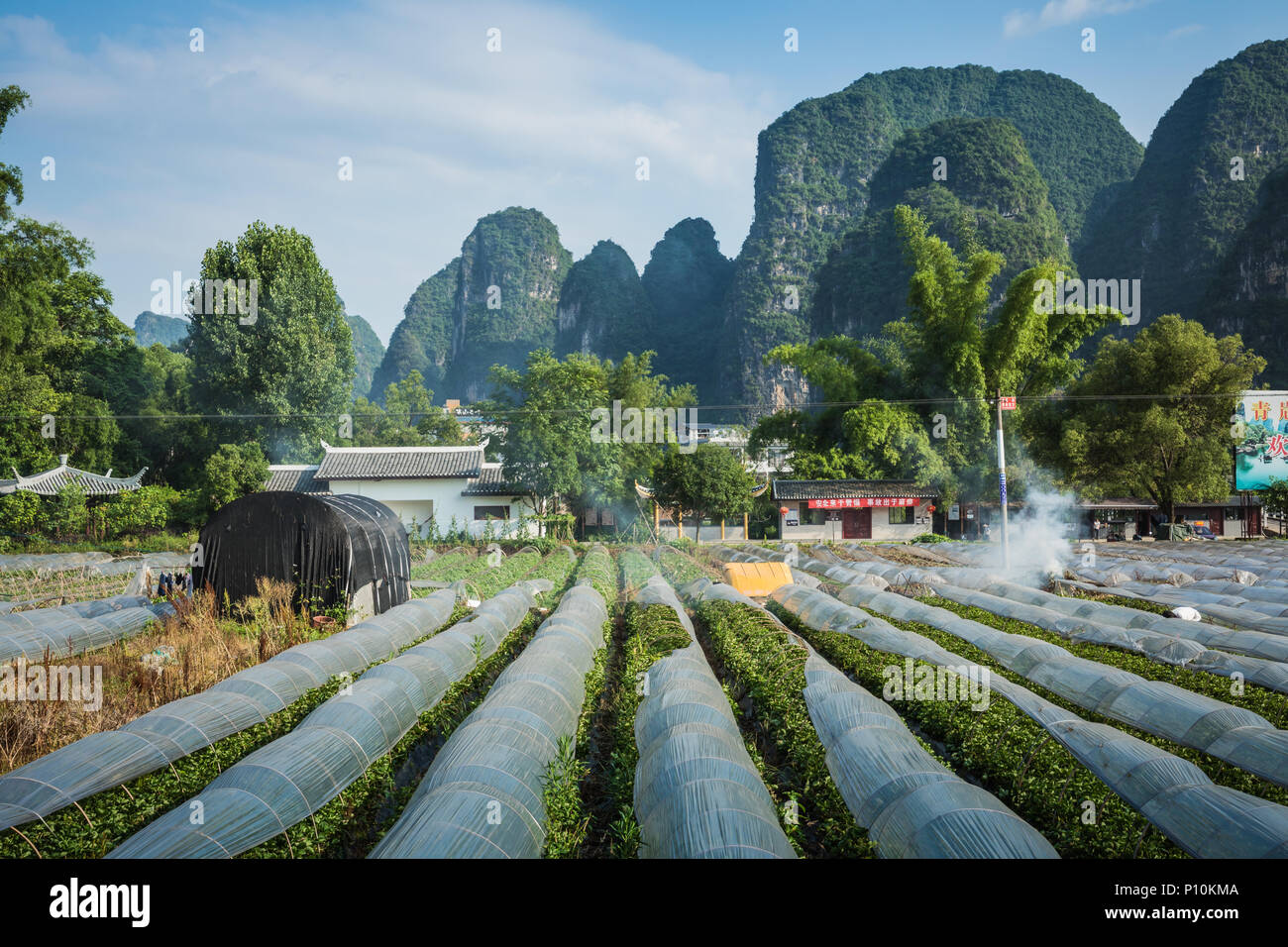 Paysage panoramique été ensoleillé au comté de Yangshuo de Guilin, Chine. Banque D'Images
