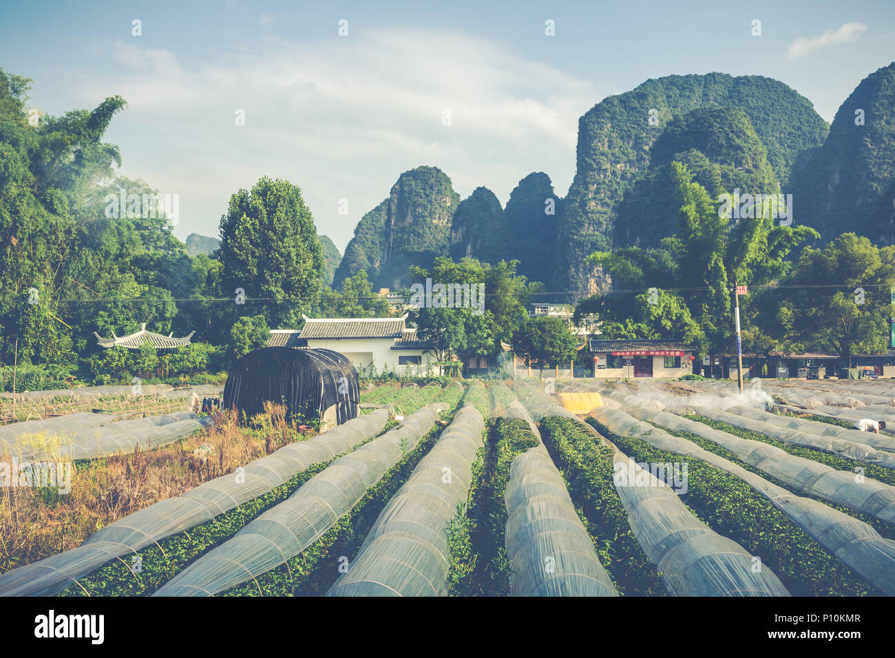 Paysage panoramique été ensoleillé au comté de Yangshuo de Guilin, Chine. Banque D'Images