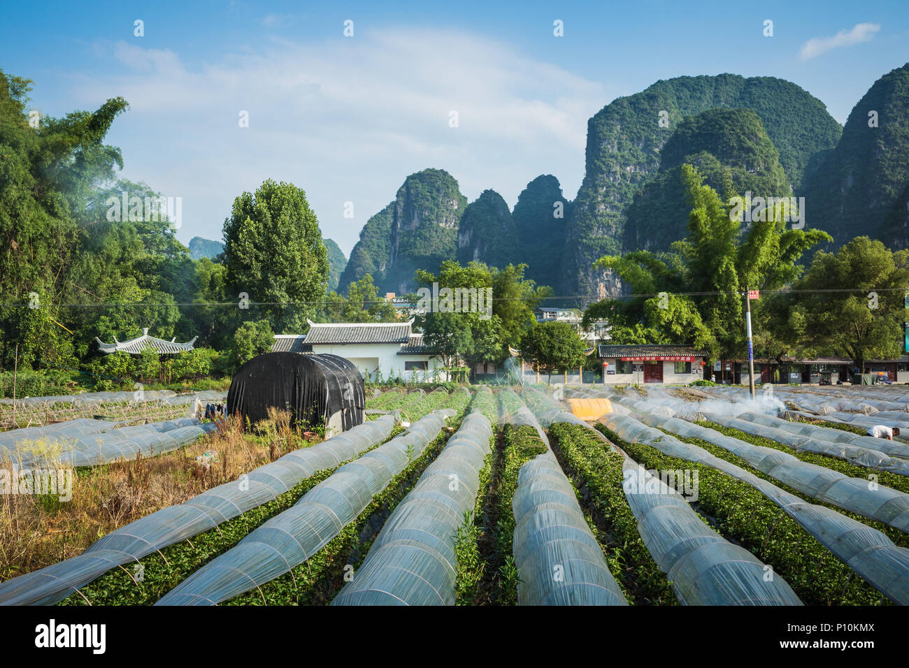 Paysage panoramique été ensoleillé au comté de Yangshuo de Guilin, Chine. Banque D'Images