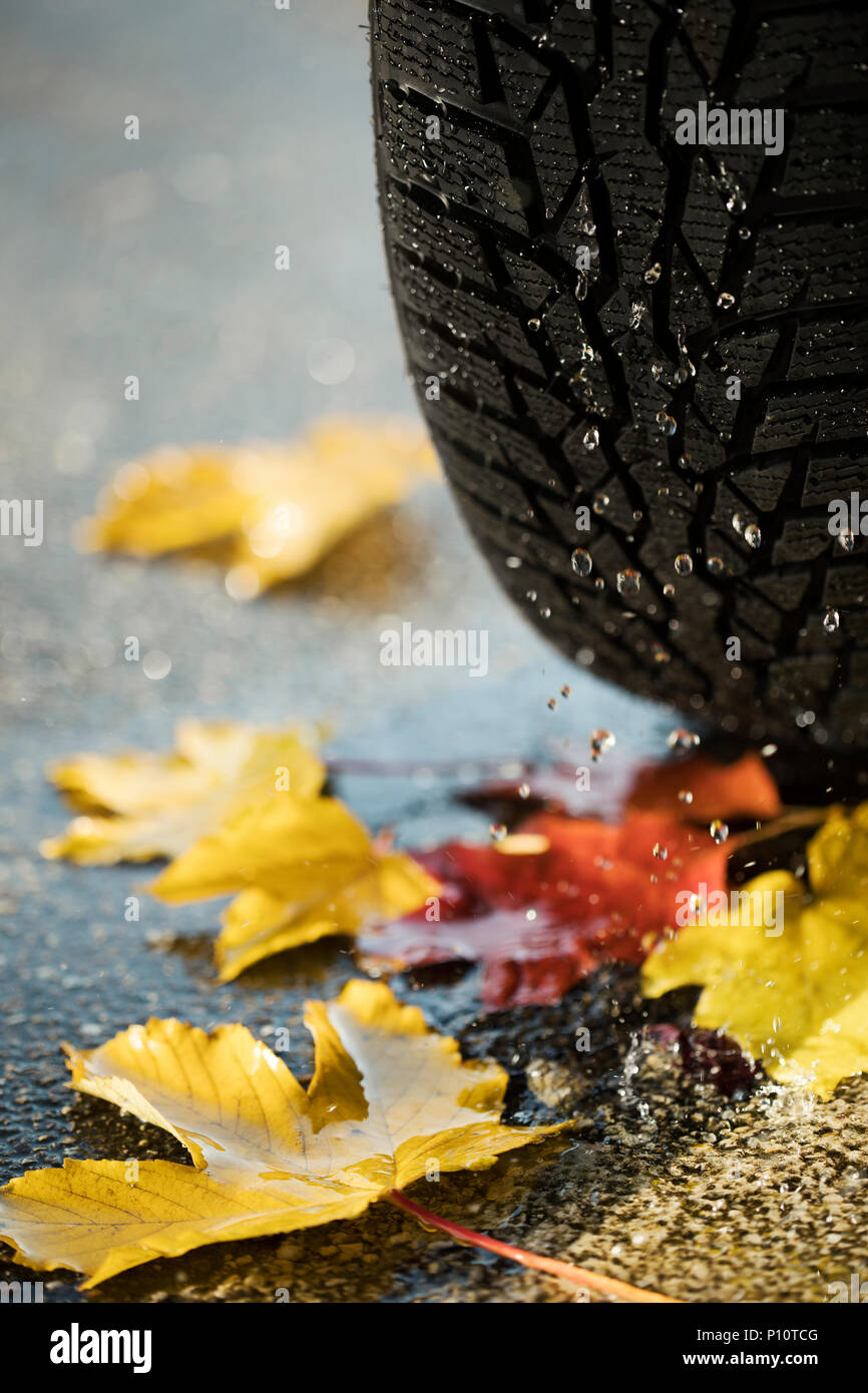 Pneu d'hiver sur une route mouillée avec feuilles, symbole Banque D'Images