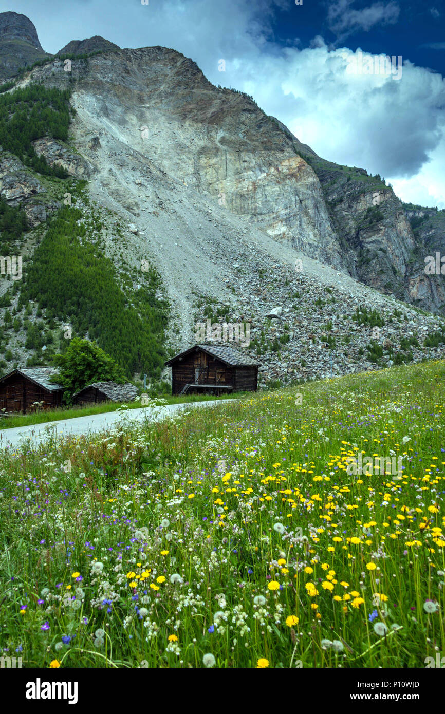 Granges en bois et prairies sur les lieux de l'éboulement de 1991, glissement, au-dessus de Randa dans la vallée de Saas, Suisse Banque D'Images