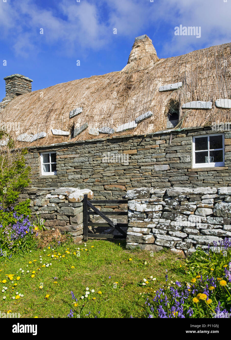 Croft House Museum / Musée Crofthouse, paille-thatched cottage restauré à Boddam, Dunrossness, Shetland, Scotland, UK Banque D'Images
