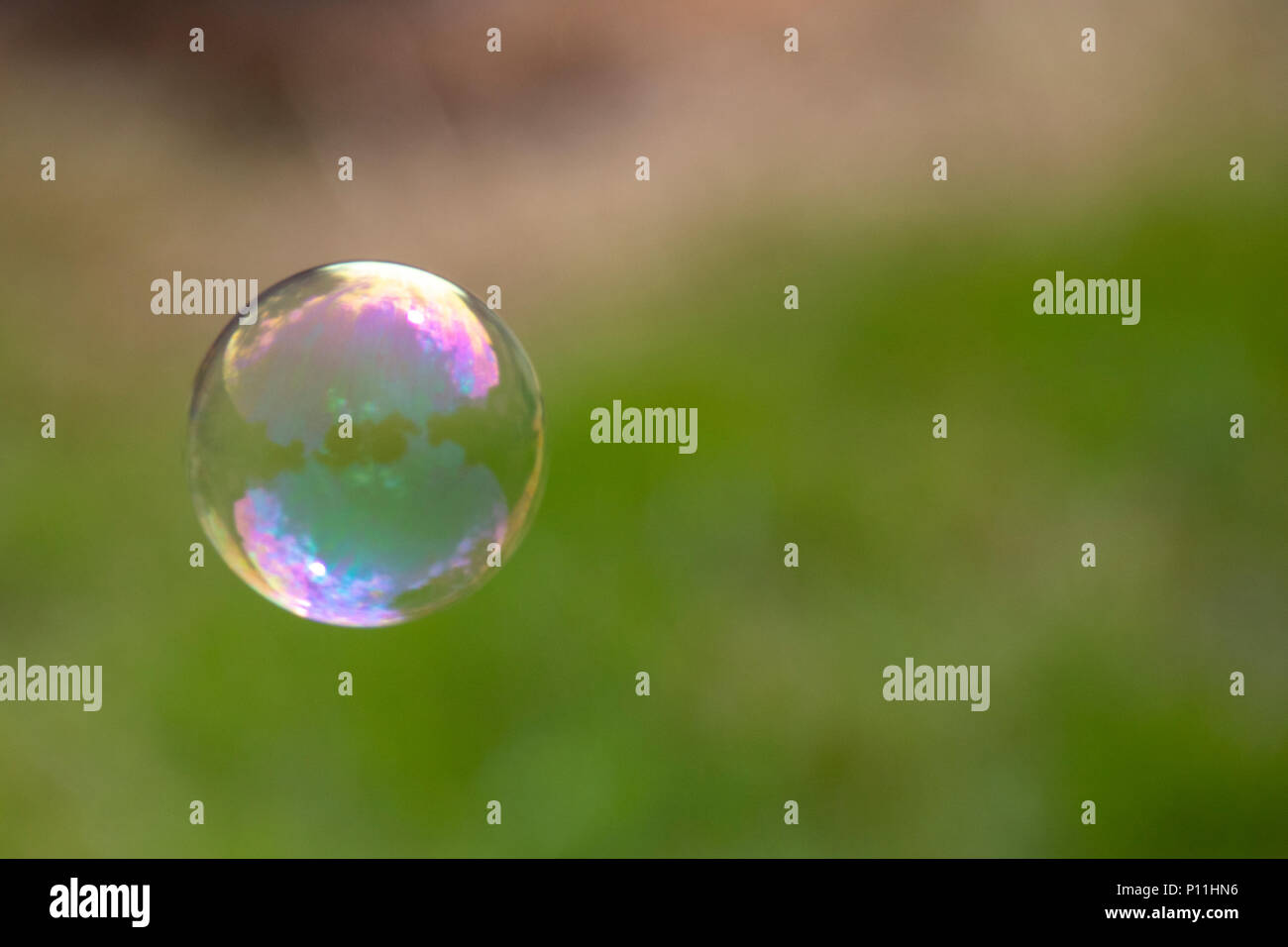 Bulle Banque D'Images