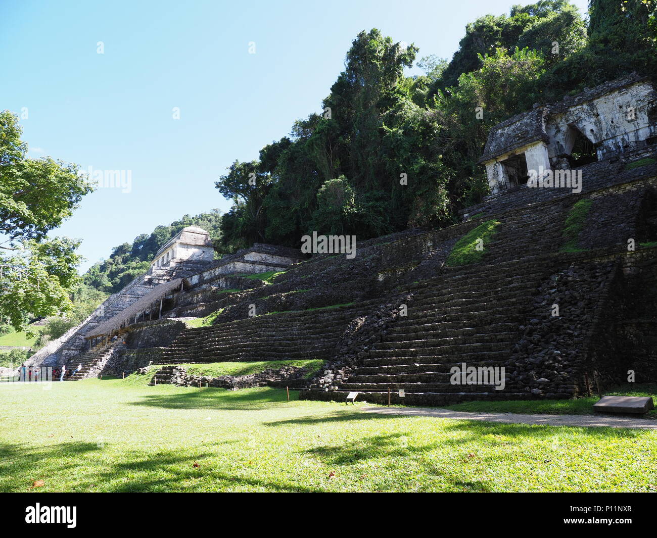 Trois grandes pyramides mayas stony à ville de Palenque au Mexique au jungle, green plantes tropicales et arbres, ciel bleu clair en 2018 w Banque D'Images