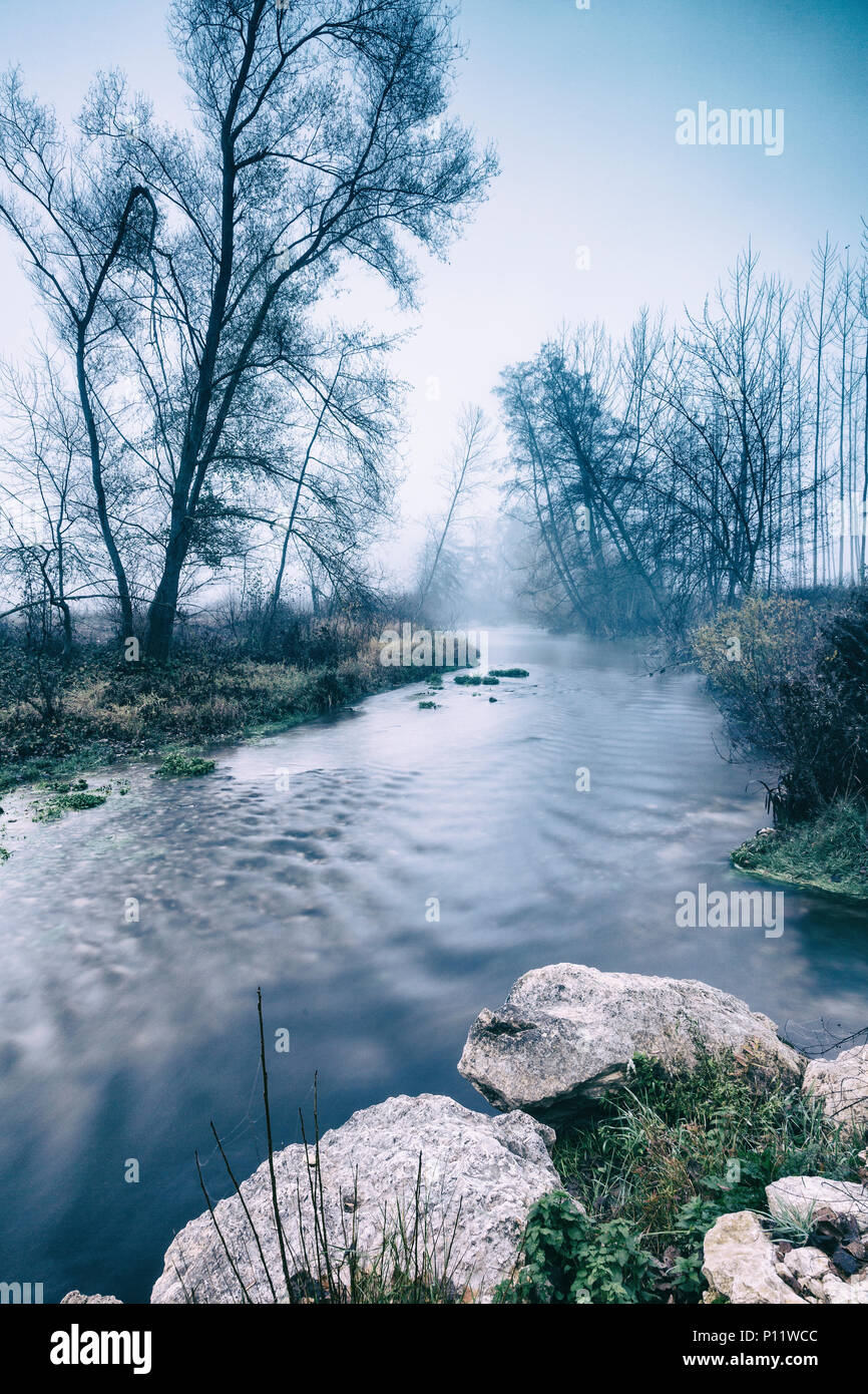 Rivière et arbres dans la brume Banque D'Images