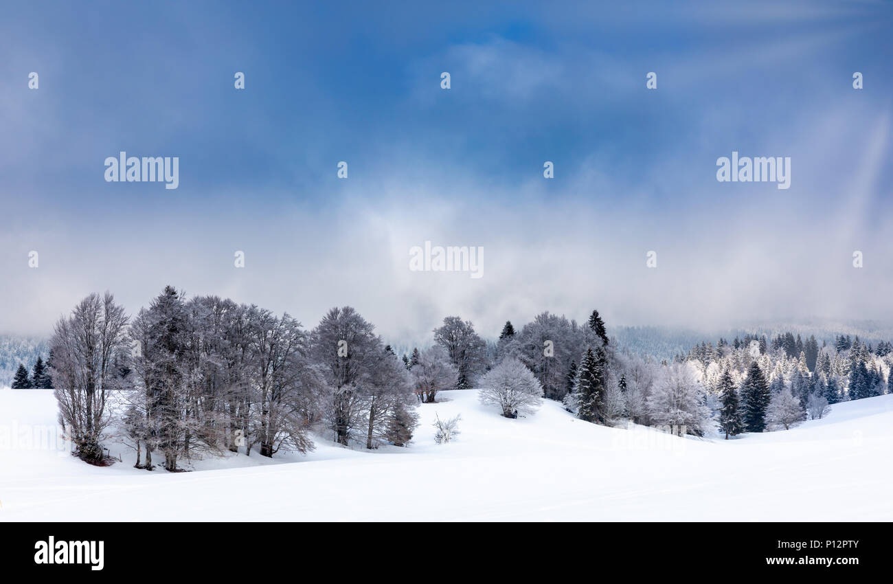 Paysage d'hiver, les arbres gelés en hiver, le Mont Salève, Archamps, France Banque D'Images