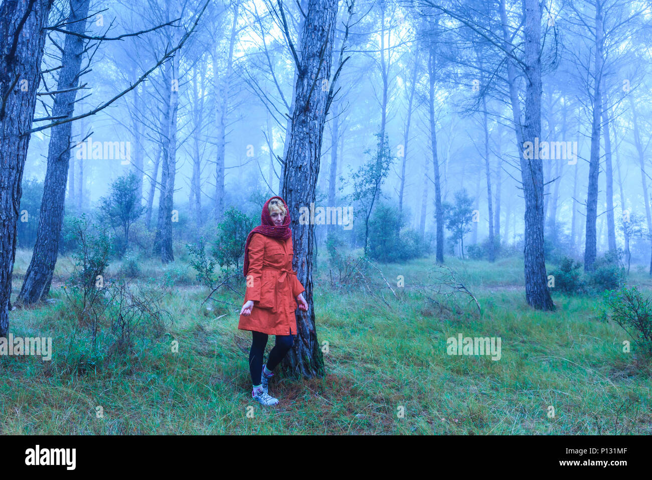 Femme dans une pinède. Comté de Tierra Estella, Navarre, Espagne, Europe. Banque D'Images
