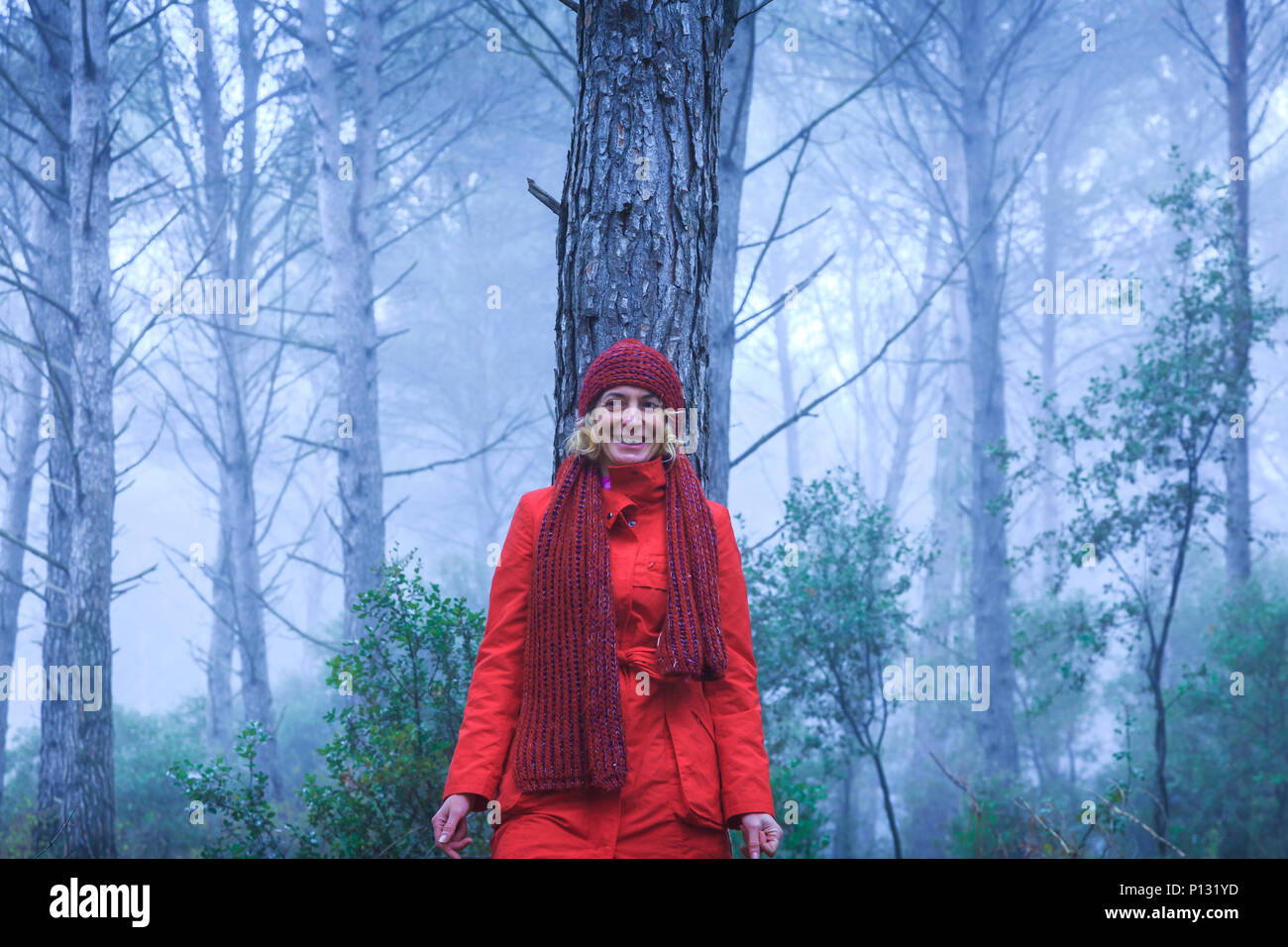 Femme dans une pinède. Comté de Tierra Estella, Navarre, Espagne, Europe. Banque D'Images