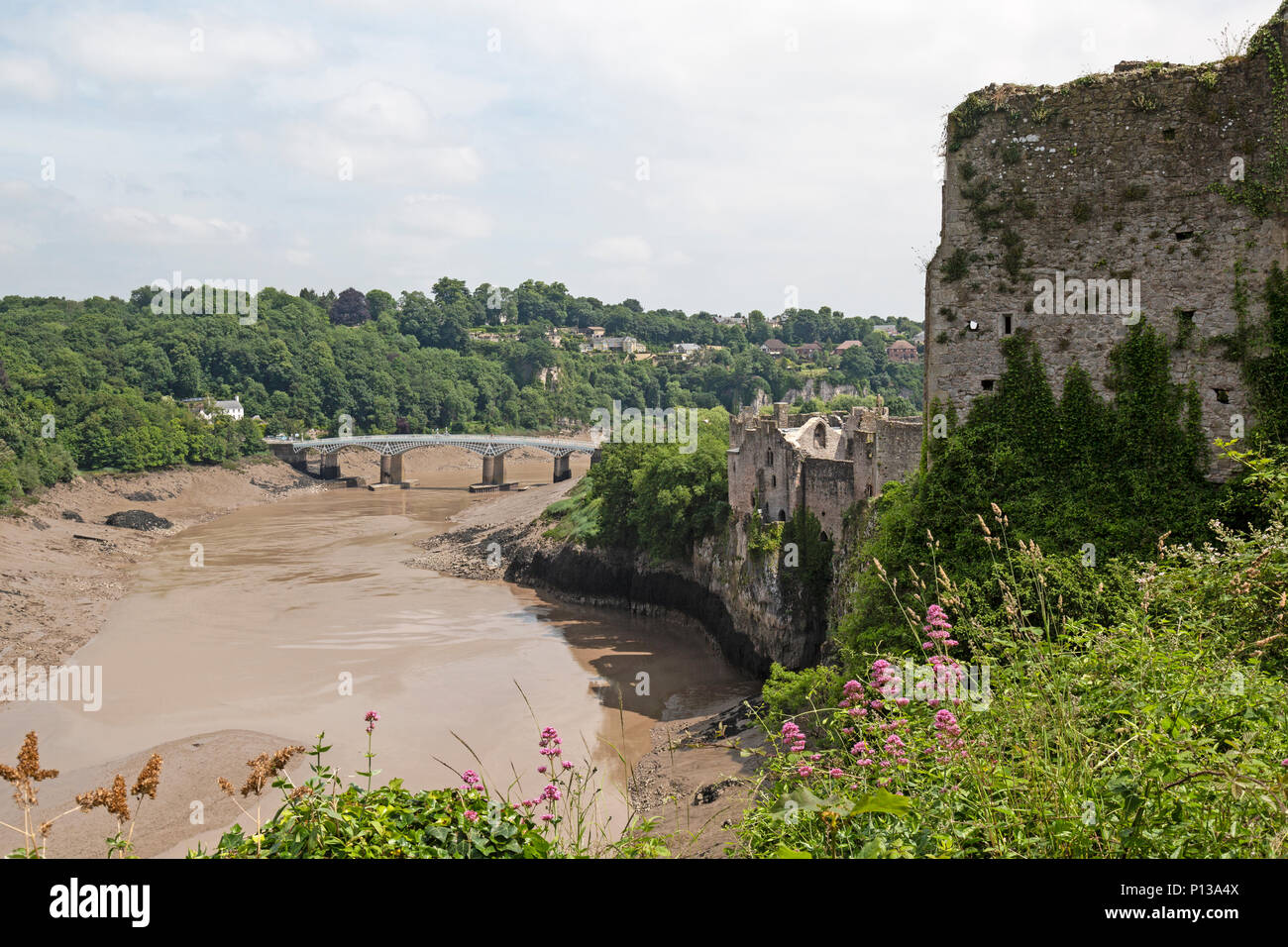Vue depuis les murs du château de Chepstow au Pays de Galles, à la recherche sur la rivière Wye, avec l'ancien pont de la ville de Wye, ou pont, au loin. Banque D'Images