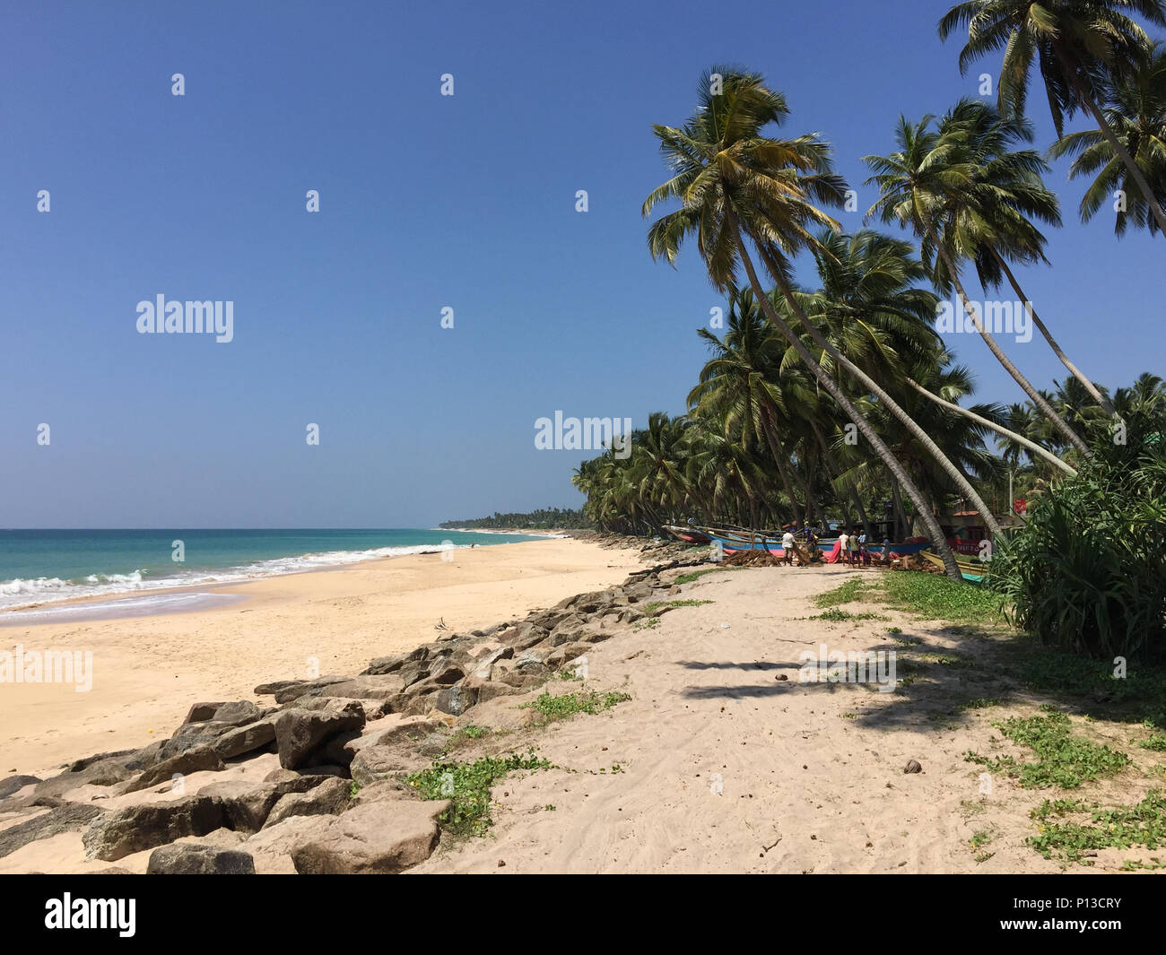 Plage tropicale avec palmiers. Sri Lanka Banque D'Images