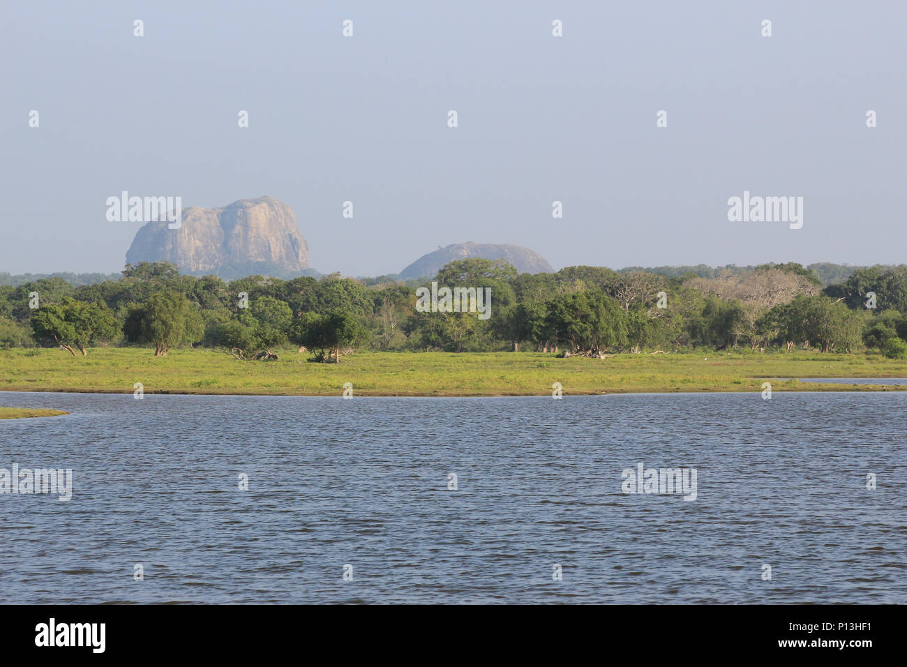 Paysage du Parc national de Yala au Sri Lanka. Banque D'Images
