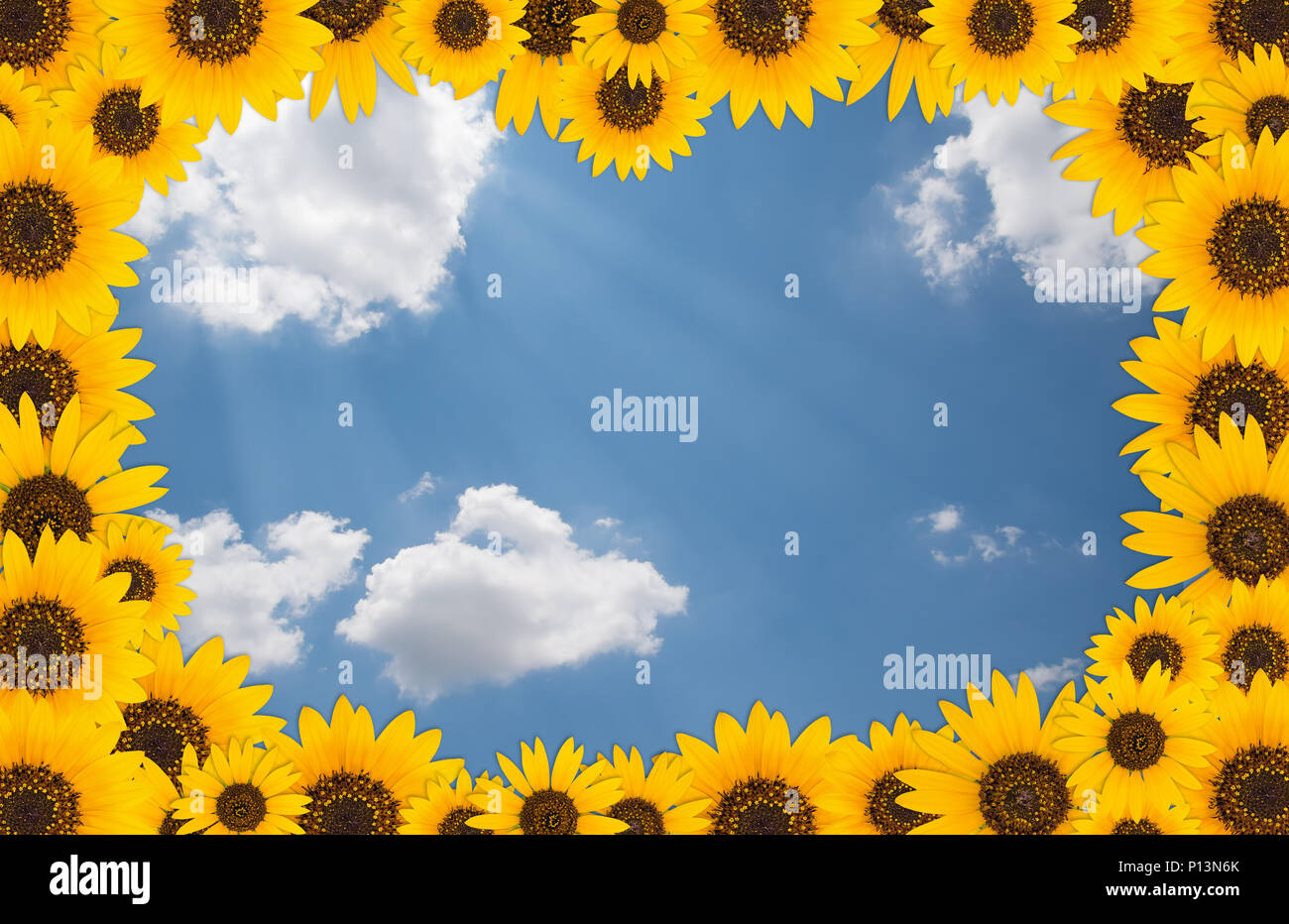 Fond d'été avec les huiles de frontière contre ciel bleu et nuages blancs Banque D'Images