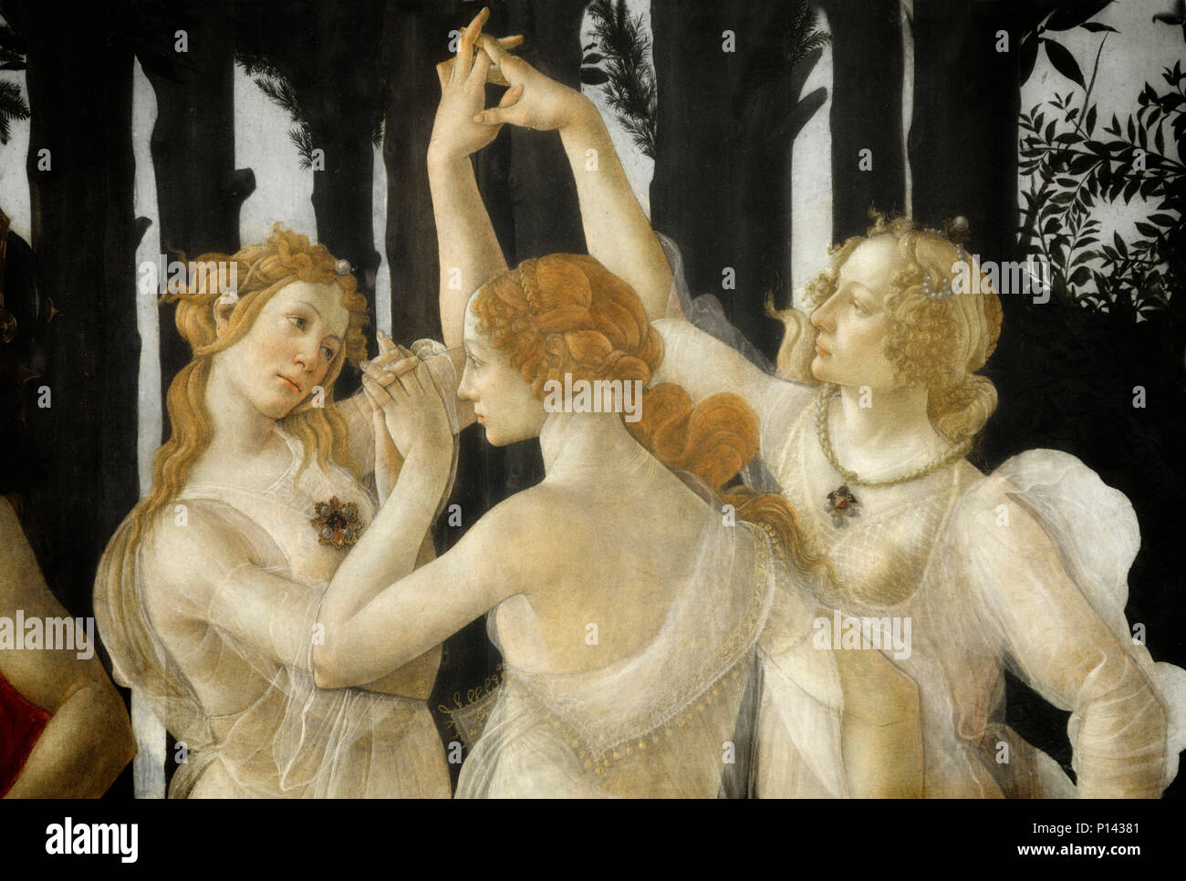 Primavera (ou l'Allégorie du printemps) ; le détail, les Trois Grâces, par Sandro Botticelli, Galleria degli Uffizi, Florence, Italie Banque D'Images
