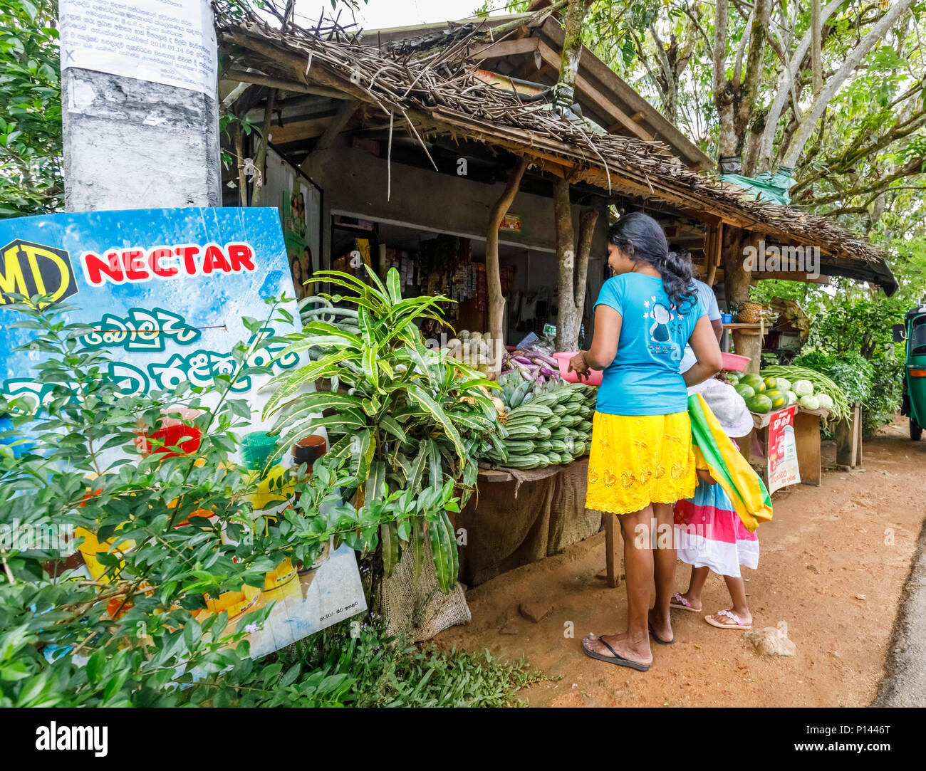 Femme Sri-lankais et sa fille shopping pour légumes à un blocage des routes vendant des produits locaux, Horagampita district, près de Galle, Sri Lanka Banque D'Images